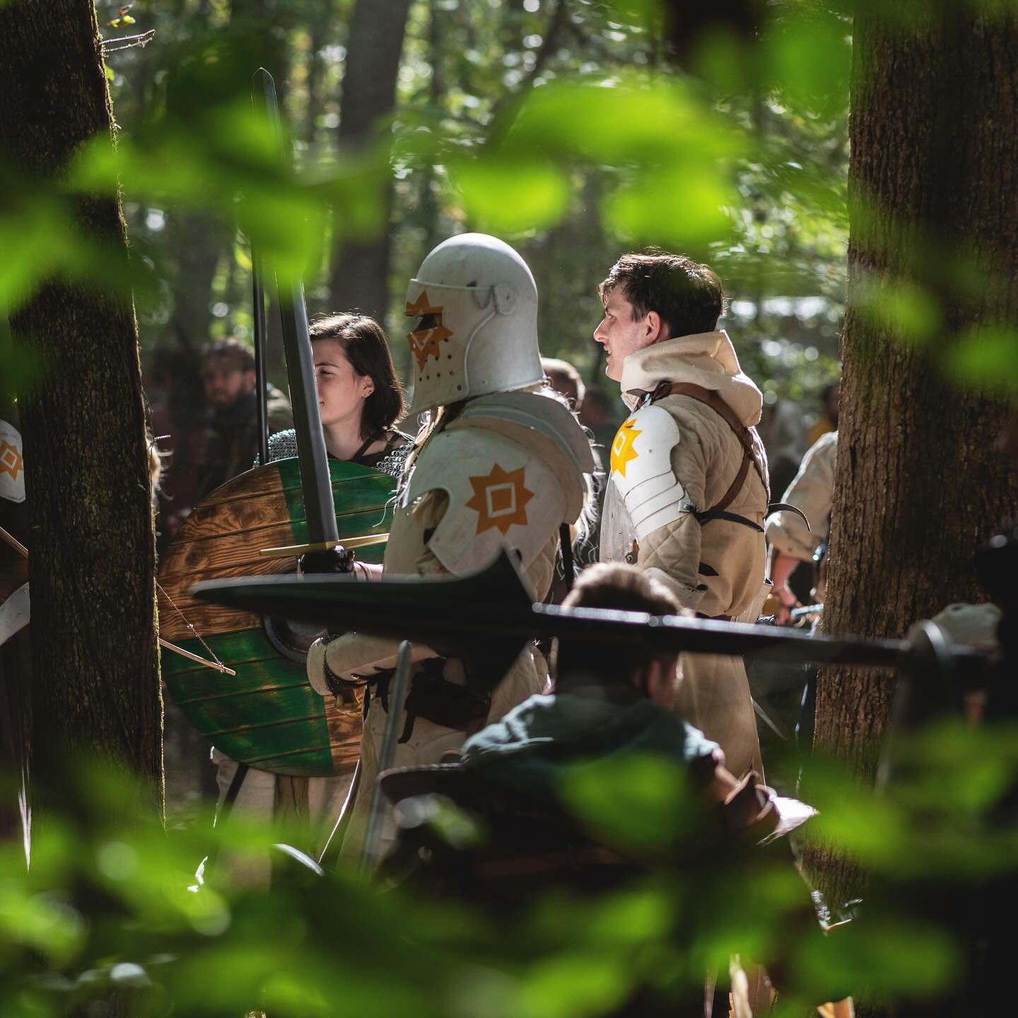 Recap of the Realms in Adrasil: 

We know that, especially for new folks, immersing yourself in a world with complex cultures, histories, and motivations can be very overwhelming! There is a lot of information on the website, but sometimes that can b