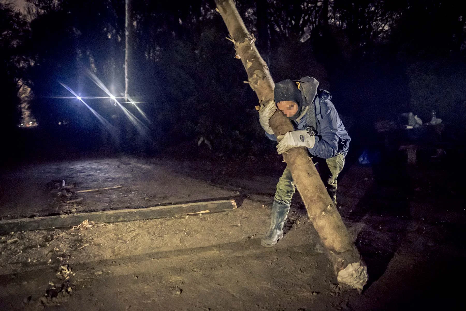 hambacher_forst_ESF7658_WEBSITE.jpg
