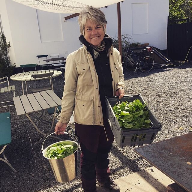 H&auml;r kommer senaste nytt fr&aring;n Pastafabriken:
Ann-Louise har sk&ouml;rdat &aring;rets f&ouml;rsta spenat och r&auml;disor i tr&auml;dg&aring;rden -kommer s&aring;klart p&aring; menyn i olika former i helgen!
Dessutom: smederna  smider saker 