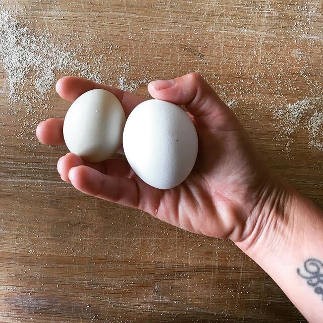 Titta h&auml;r! Det h&ouml;gra &auml;gget &auml;r ett helt vanligt eko&auml;gg fr&aring;n en h&ouml;na. Det mindre, lite gr&ouml;na &auml;gget kommer fr&aring;n en gullig anka som bor en bit h&auml;rifr&aring;n. Om vi kommer ha ank&auml;ggpasta i en 