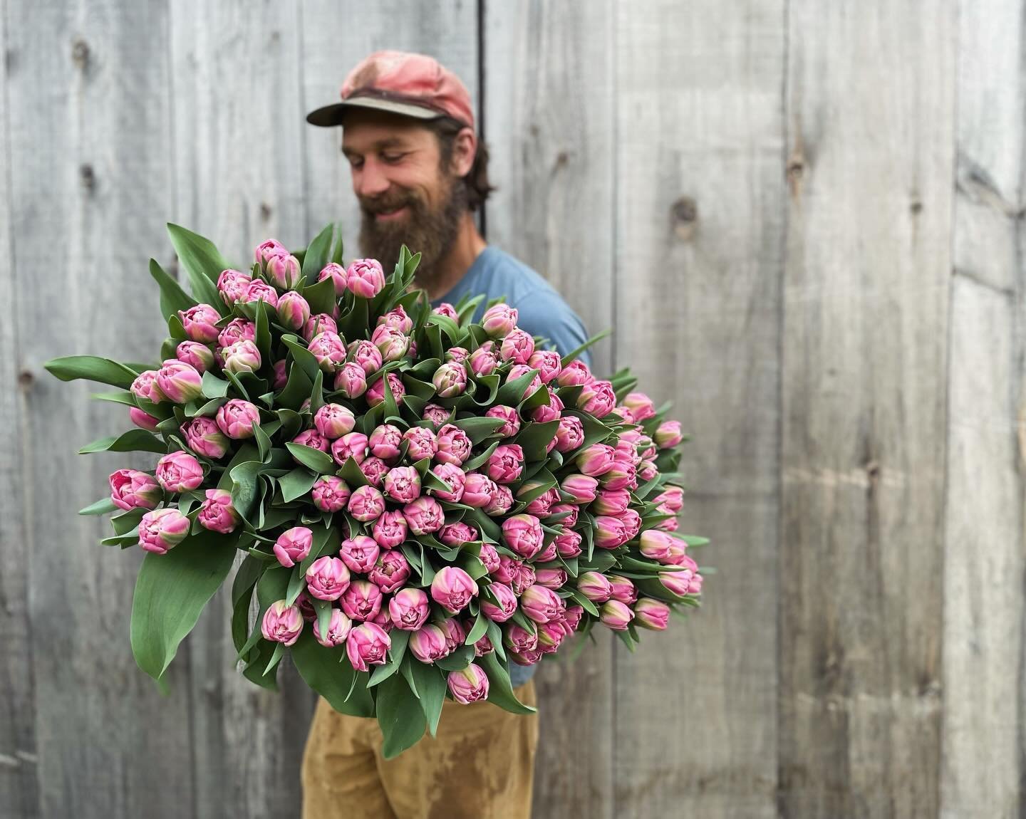 At the risk of losing another good employee cause I forced them to smile with flowers perfectly aestheticized in front of a weathered ship lap pine backdrop, I want to to say that we sell flowers, want people to buy them and they are truly beautiful.