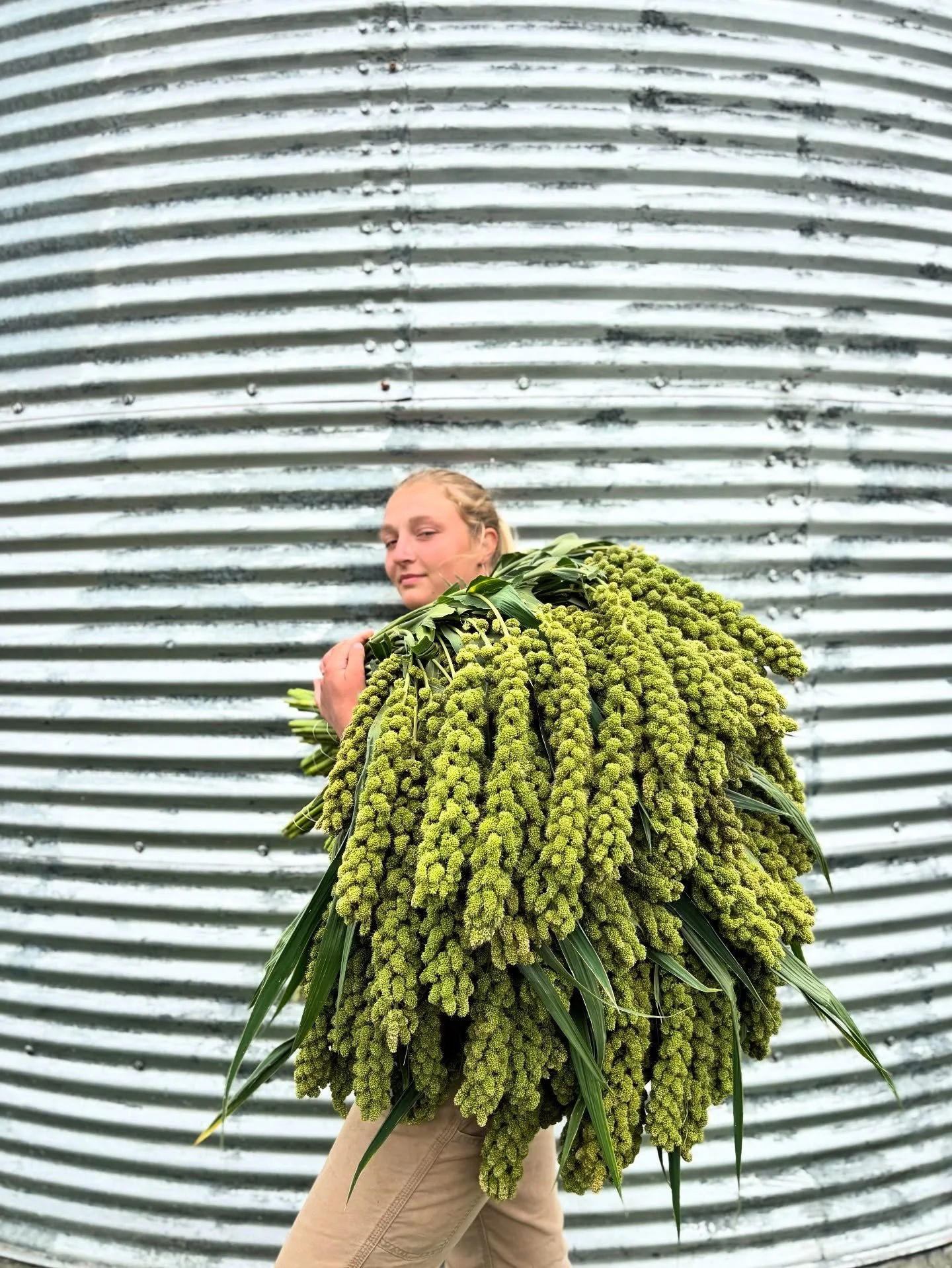 This is millet, the grass, the food, the hearty appetite, the fifty pounds of decorative water I asked Elisabeth to hold before she left us forever, but not without promising to come back. 

We all know how flowers elicit memories, and how memories e