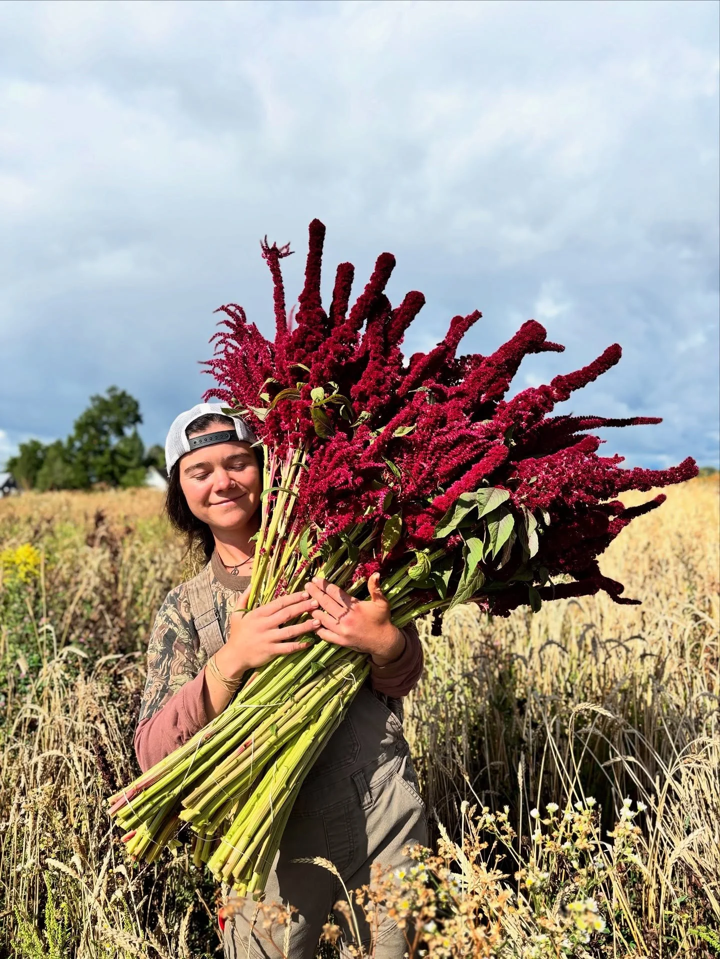 The fastest way to dispel the charm of this kind of work is with amaranthus. It&rsquo;s the flower I&rsquo;ve gotten the most complaints about. The flower whose own identity as a flower has been questioned. Arguably the most gaslit flower.

When I cu