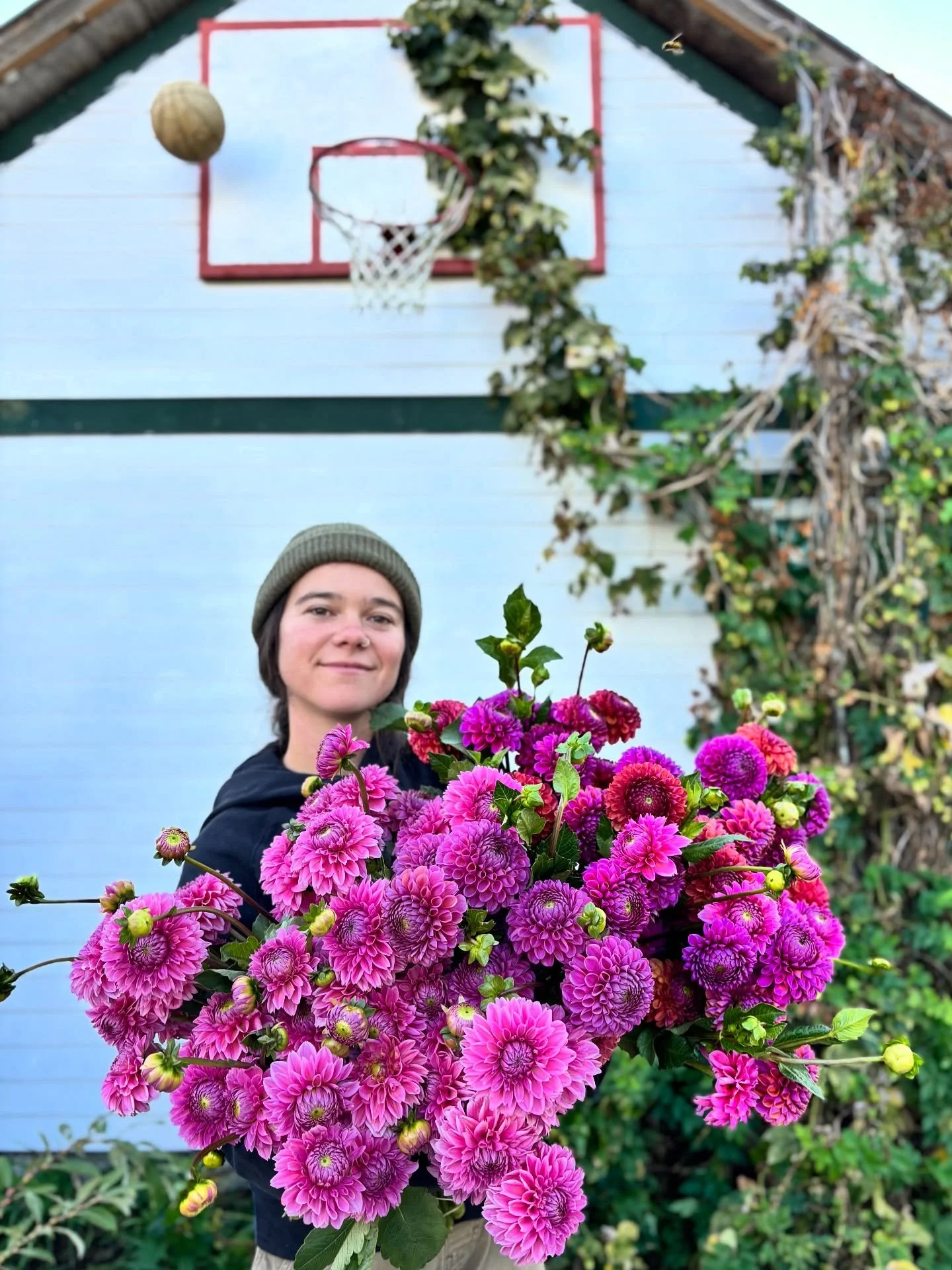 I realize, despite all the mayhem of daily life, not much changes in September. The light still tilts the same, the birds still appreciate my subpar farming efforts, the panic texts crash in and heart hands float out, the clematis eats everything ali