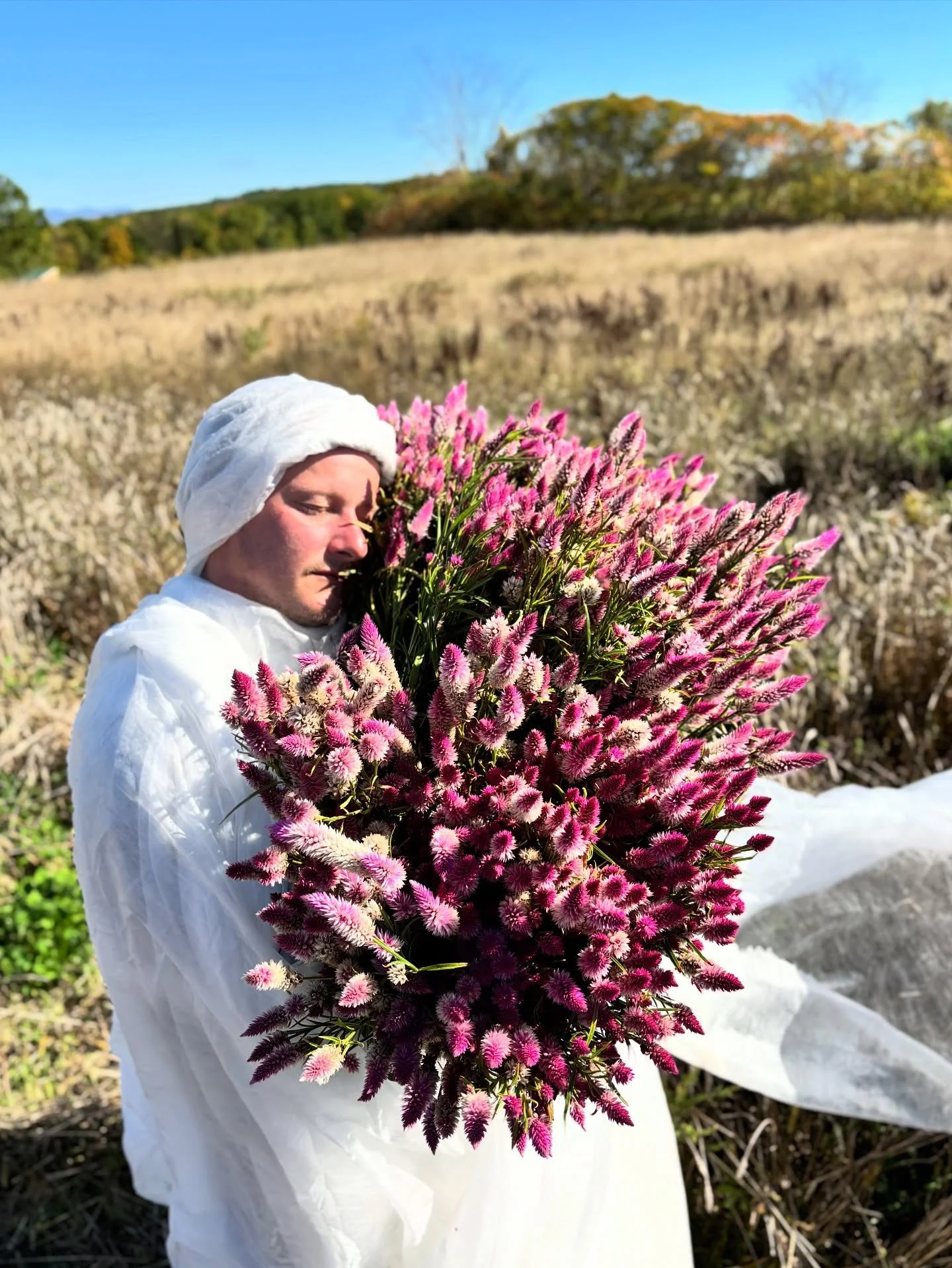 The first of October came and went without a frost, without a candle lit dinner, and without ceremony. After we cut six hundred bunches of dahlias yesterday, we chopped down the final banquet of celosia. We cut every last one like the baby bangs your