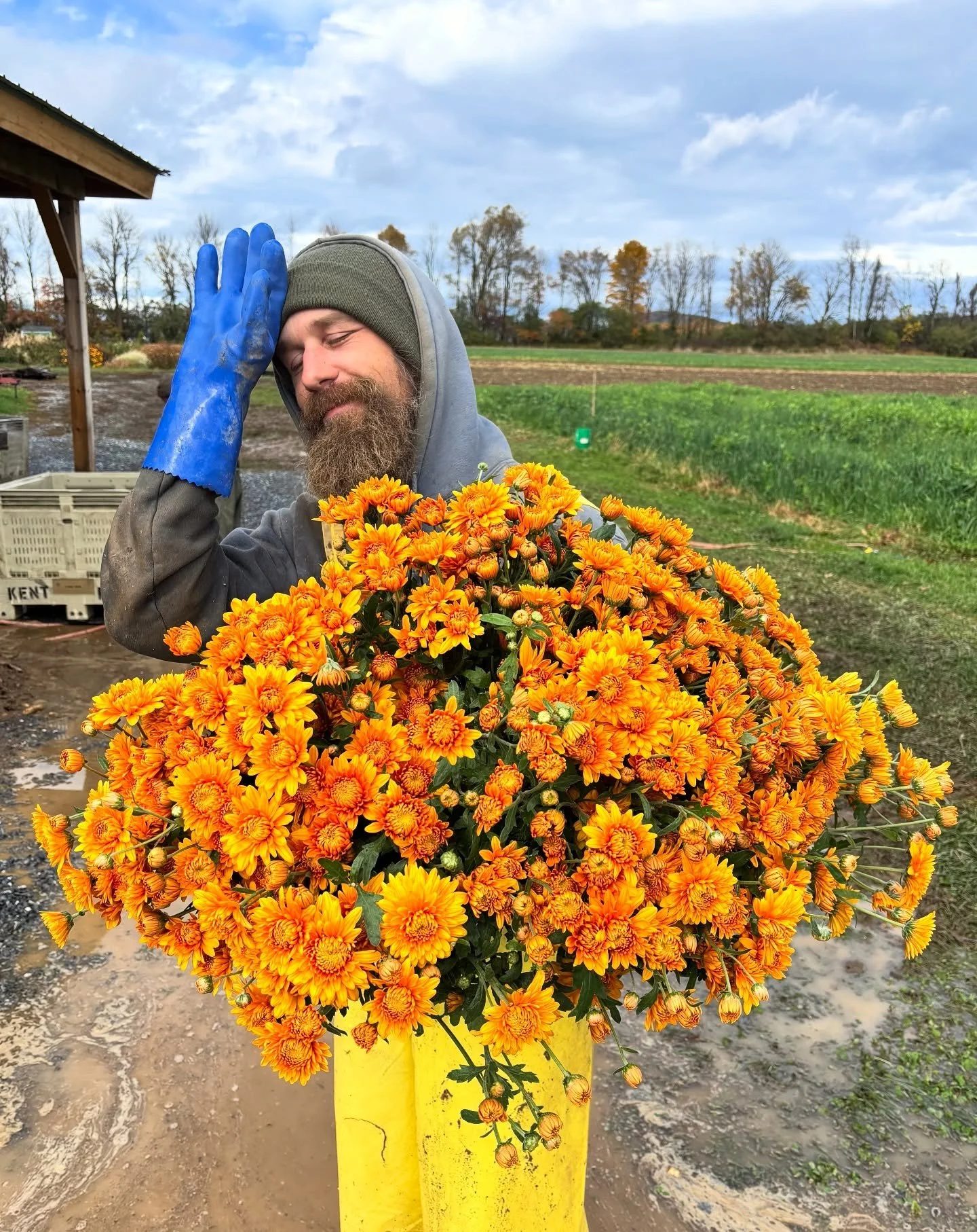 I love all the gold flowers most of all. Gold is the pear tree, the ginkgo, the cicatrix from a chain, my one broken tooth, and the complexion of this fleshy topography between the loudness of day and the loneliness at night. Gold is the one survivin