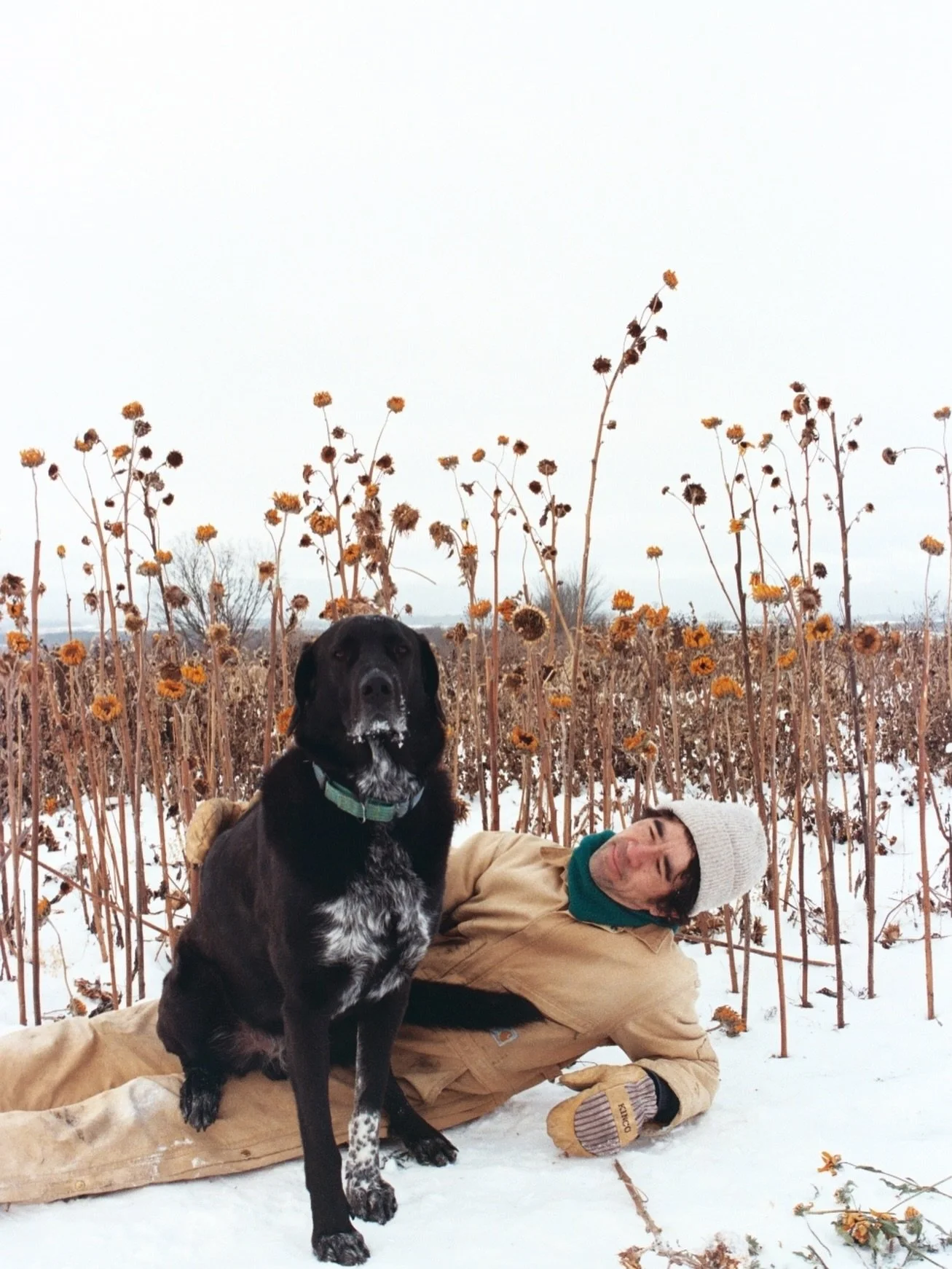 I aspire to aspire a little less every year. No big ambitions to grow more or sell more or be more. No big bonfire or yule log or wishing paper to ceremonialize the death of a thing and the birth of another. No giant expansion or augmentation to chan