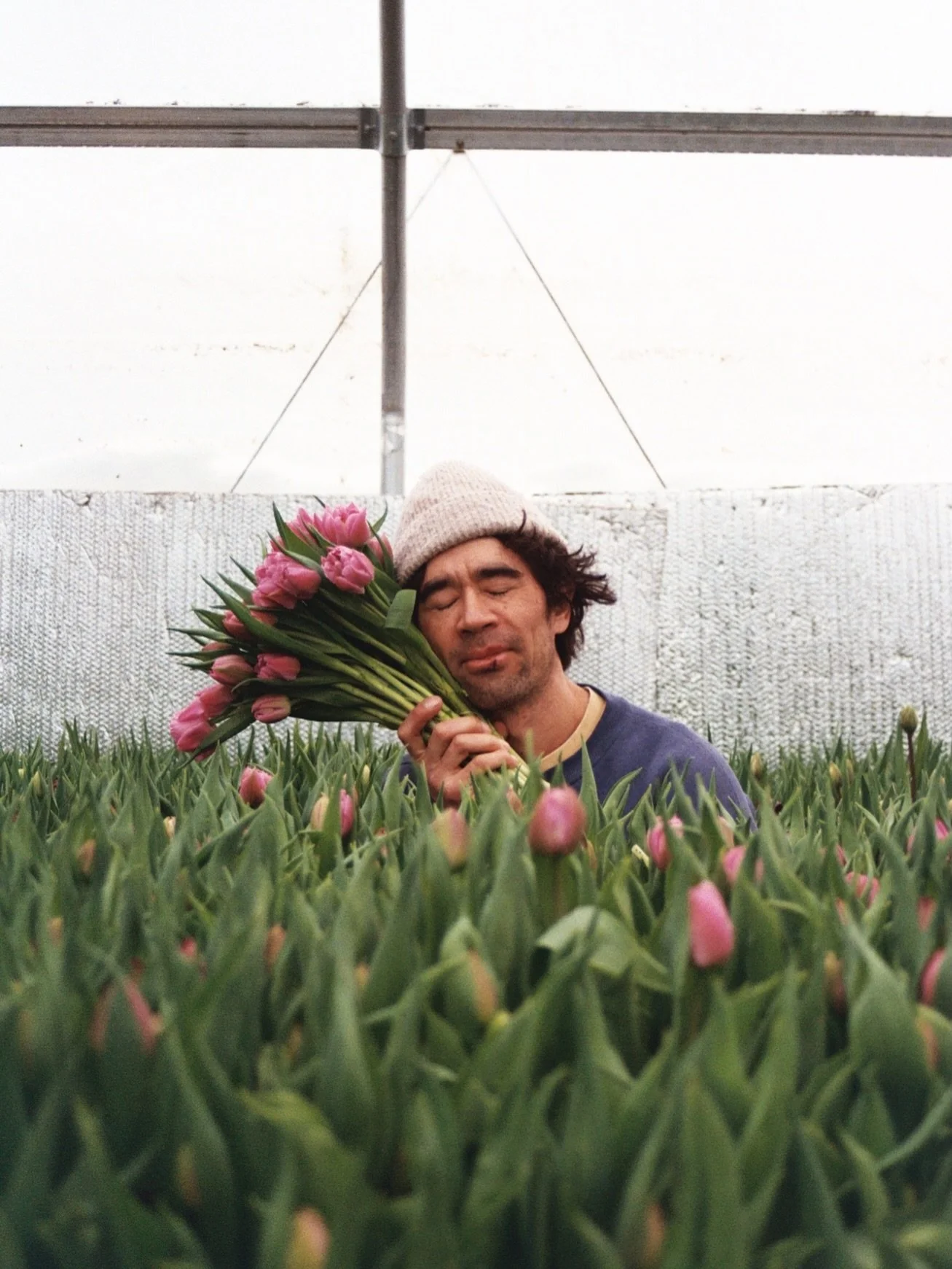 The first flowers of the year opened up the same day I got my front teeth smashed in. I gave them to the doctors as an offering. The flowers, not the teeth. When they asked me how it happened I told them about greenhouses and forcing bulbs and coolin