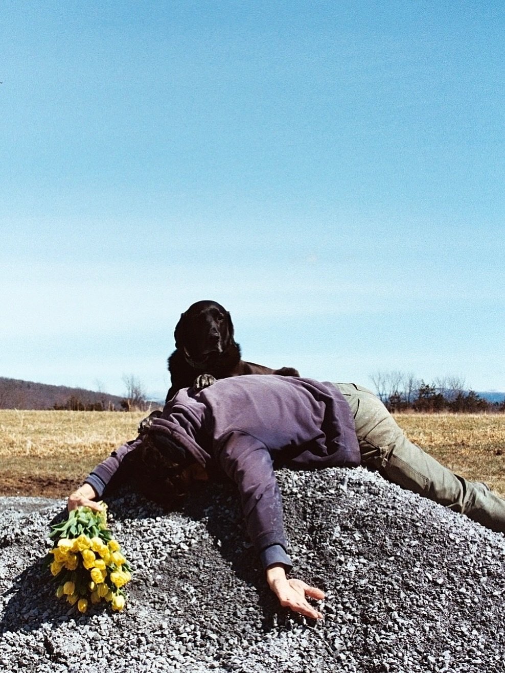 Amongst the wreckage of the world, I&rsquo;m so grateful for a clear sky and a pile of clear blue stone, every culled flower too far gone, the closest closeness of the people I love and the unconditional loyalty of my pea-brained dog. 

We&rsquo;ve g