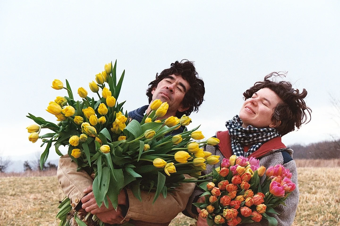 I love when flowers lean towards the light. It&rsquo;s called positive phototropism. Tulips can&rsquo;t help being this way. Chrysanthemums too. Sunflowers of course, shamelessly. Maybe that&rsquo;s why I relate to these plants. I, too, want to get c