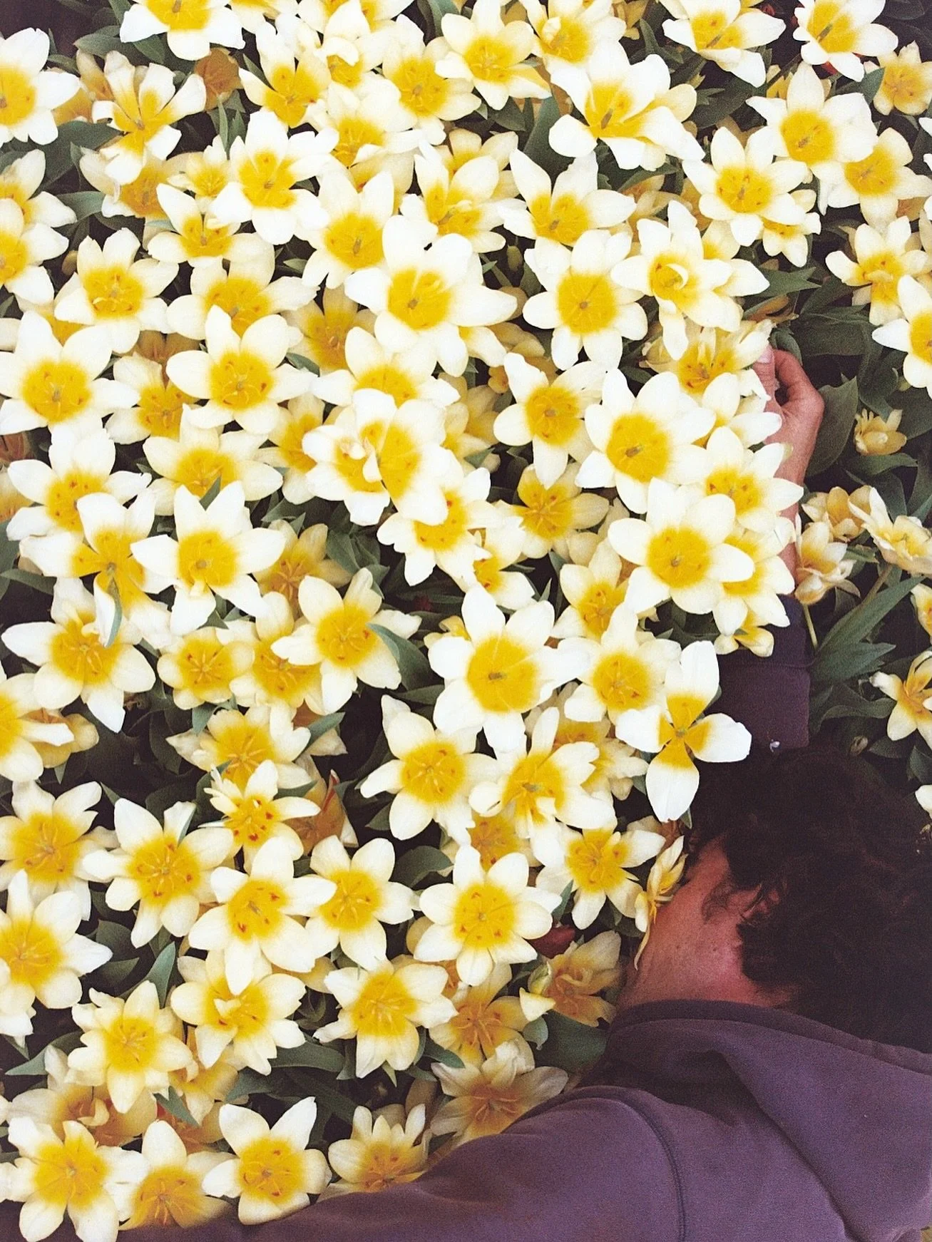 Today&rsquo;s been so beautiful. Even when my timing is off and I can&rsquo;t get it right. It&rsquo;s been one of those days, weeks, past couple weeks or maybe even years, where I feel like I&rsquo;m chasing the sweet spot of this farming thing but 