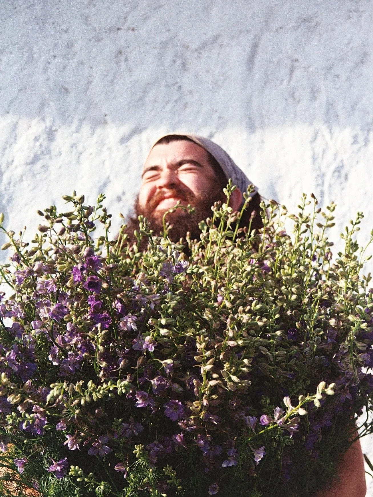 June is a capricious little thing isn&rsquo;t it. 

It&rsquo;s a dusty, liminal month. There&rsquo;s dog hair everywhere. The daylight is either coming or going. I&rsquo;m hungry all the time. I&rsquo;m night dreaming reality and day dreaming music I