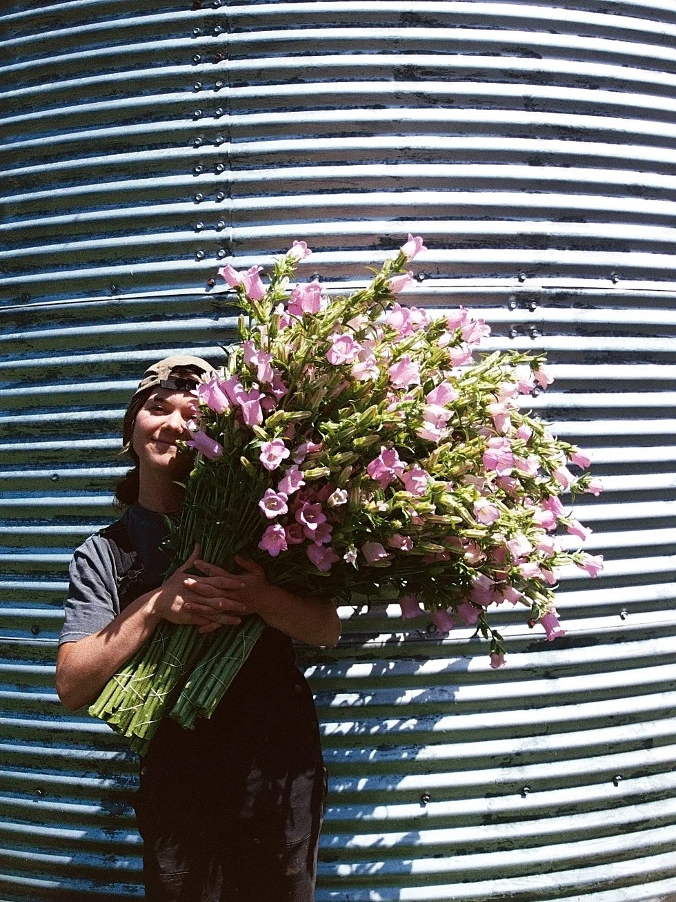 I cut the mock orange this morning and watched a horsehair worm, thin as fishing line, climb the overwhelmingly pungent philadelphus.

These worms seek out water the same way a cottonwood seed seeks out a quiet piece of dirt.

The stringy little thre