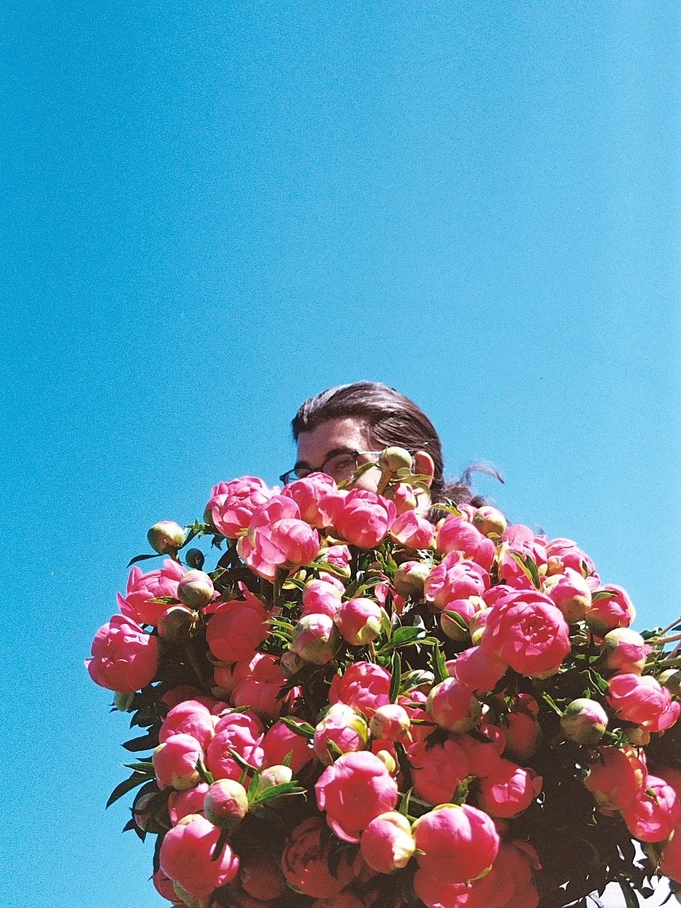 At some point, in recent months or years, I started looking at the flowers from the low supine angle. Turns out the most compelling backdrop for all of my obscene proclivities is, in fact, the blue sky. 

From down here you&rsquo;ll notice the papave