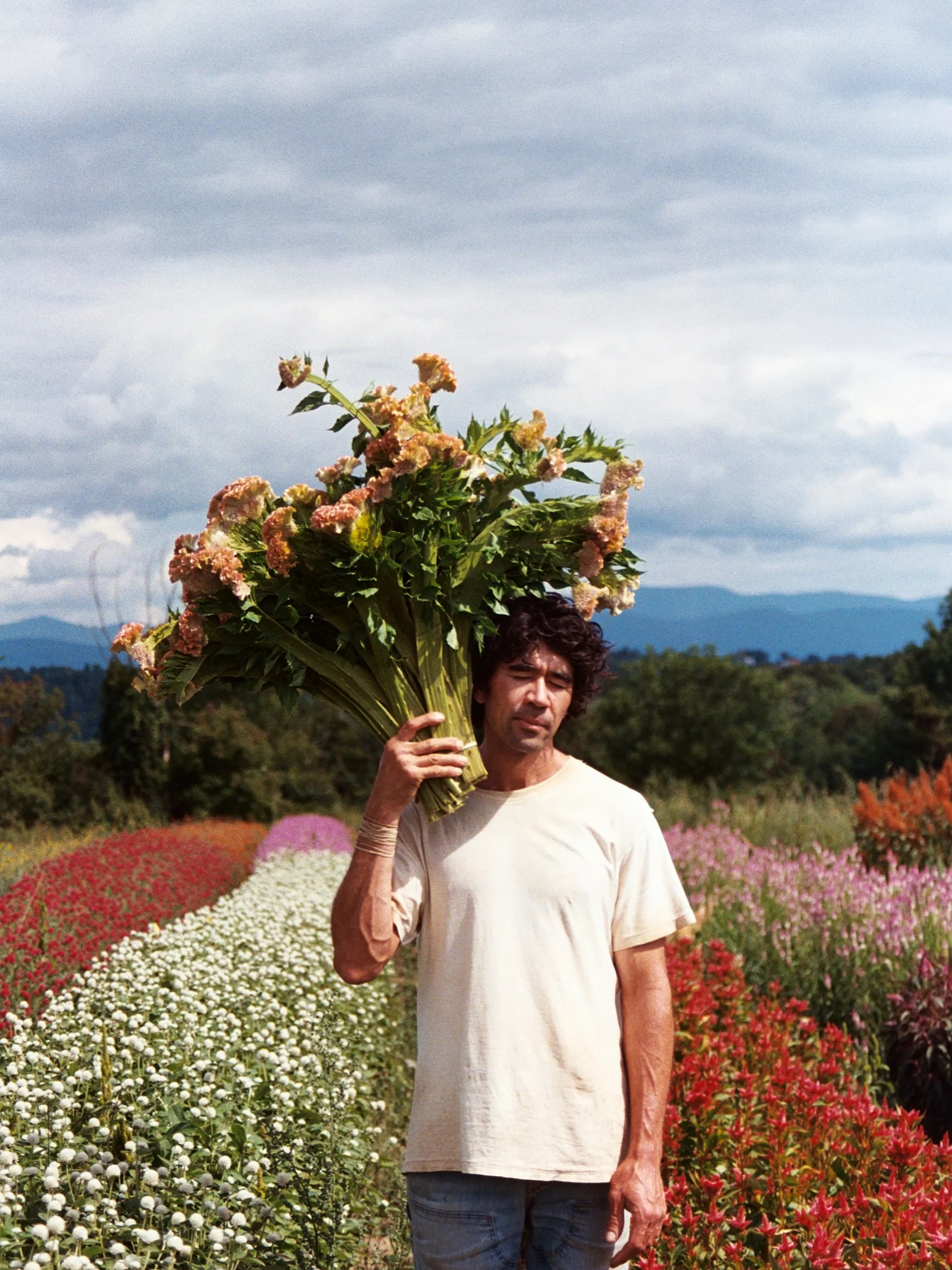 I roll out of bed and straight into flowers. After dreaming in flowers. After rolling out of flowers and into bed. It is September afterall, and the lines start to blur. 

We&rsquo;ve been cutting so many dahlias this week that I&rsquo;ve started see