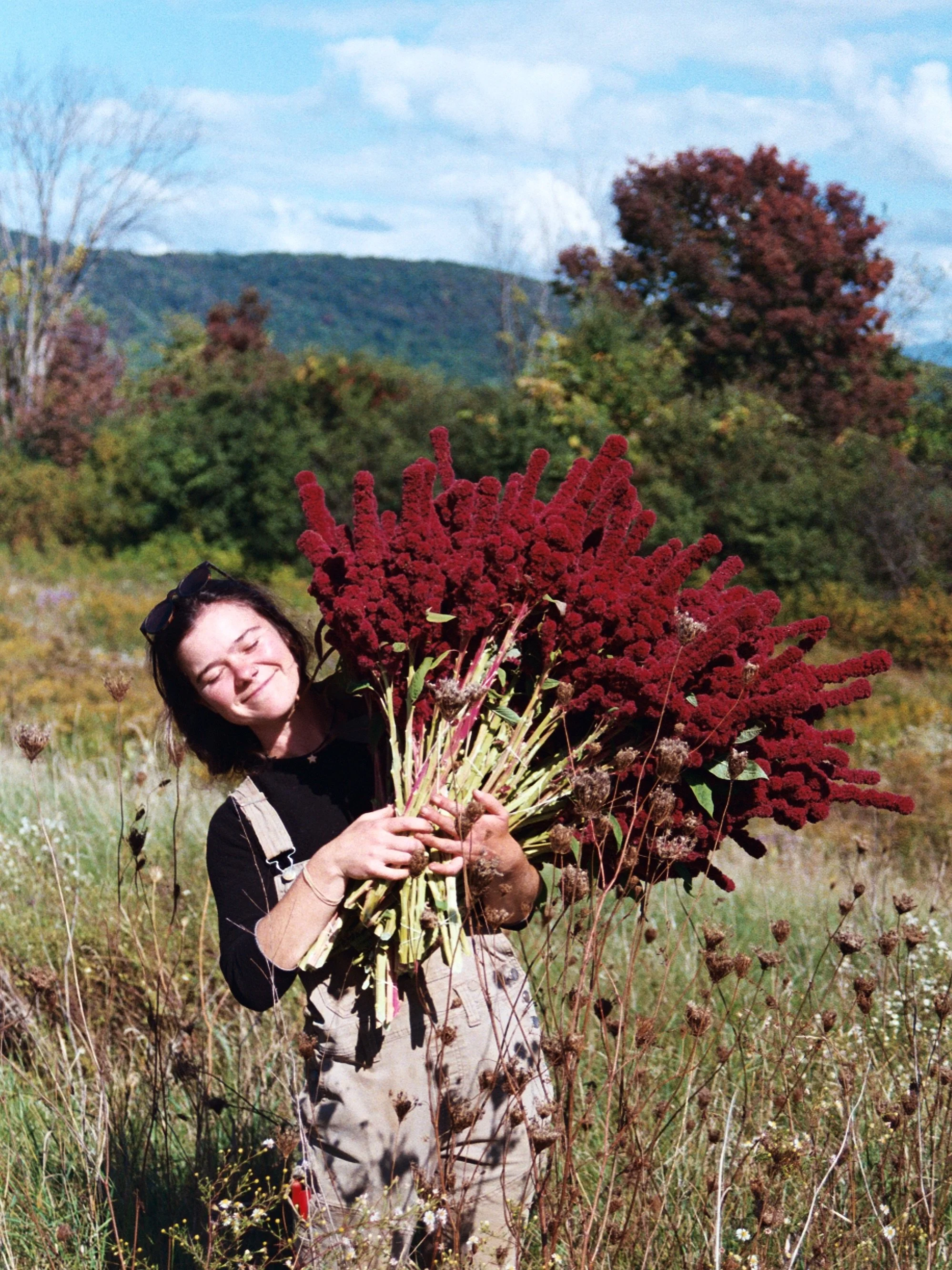 I&rsquo;ve sold approximately zero bunches of this amaranthus this season. Arguably the least popular thing we grow. Maybe it&rsquo;s too much. Too oddly shaped. Too clumsy. Too inelegant and deliberately obtuse on the eyes. 

But I still grow it yea
