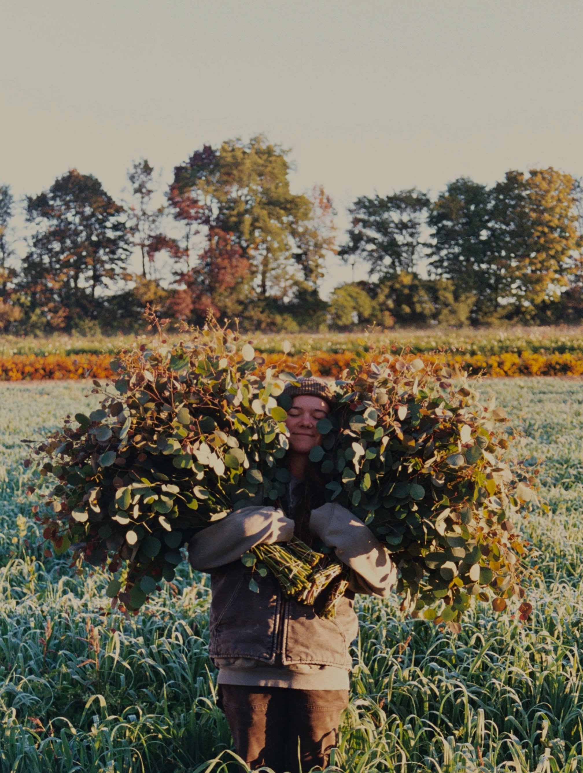 Now that I think about it, eucalyptus might be the longest suffering annual that we grow here in the north country. 

We start the seed in February and, usually, most years, we continue harvesting the foliage until ice forms on our palms. Until you c