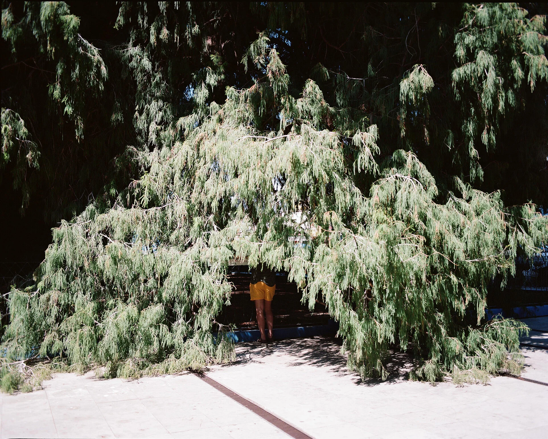 84440005-web.jpg