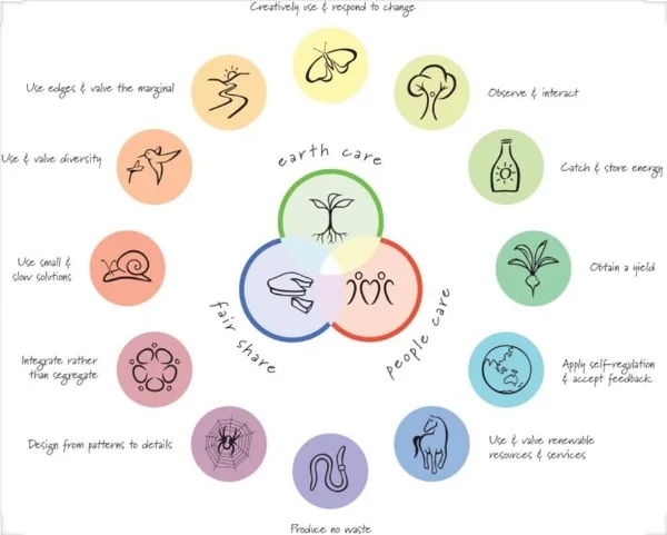 the principles of permaculture… a guideline to working in harmony with nature