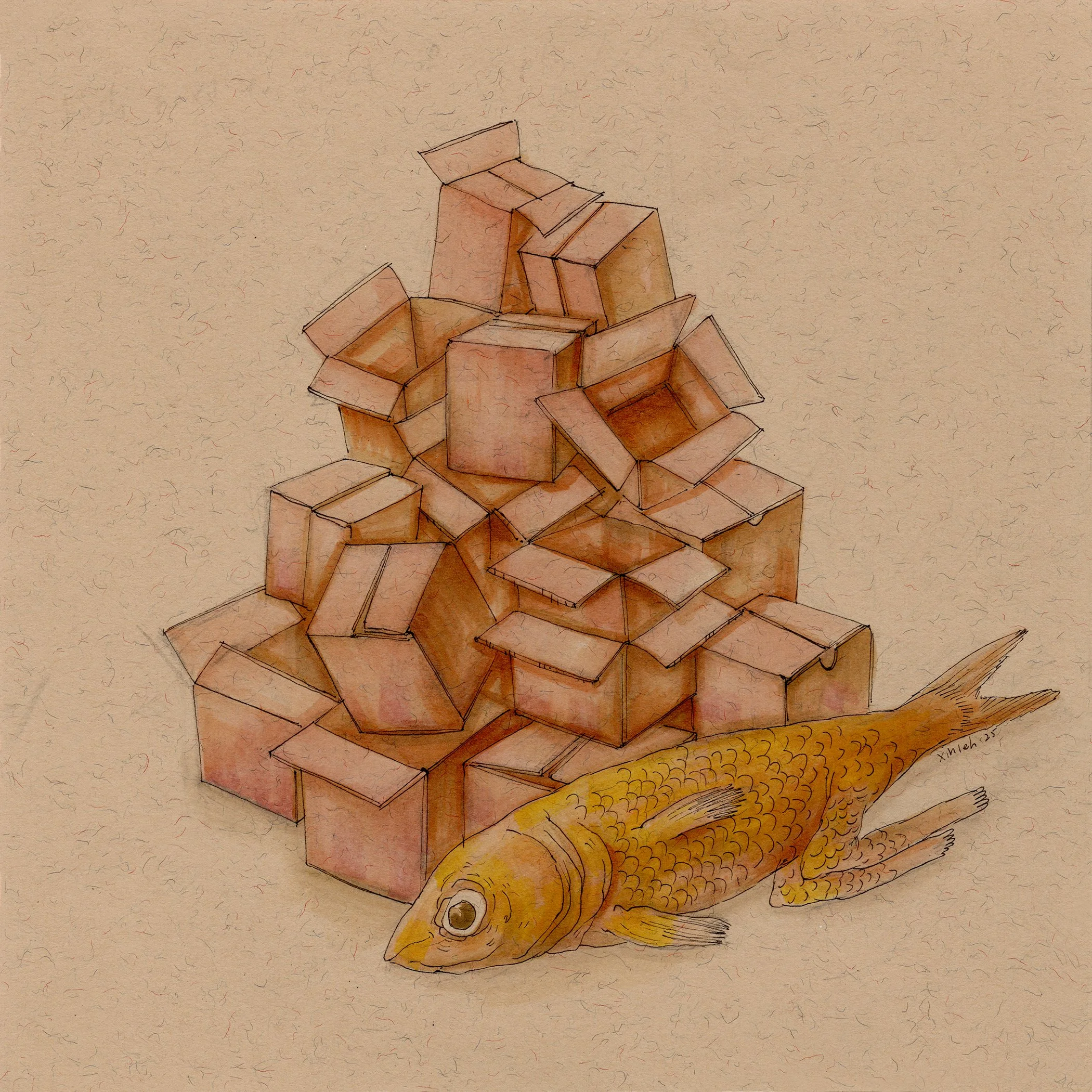 14_fishbox.jpg