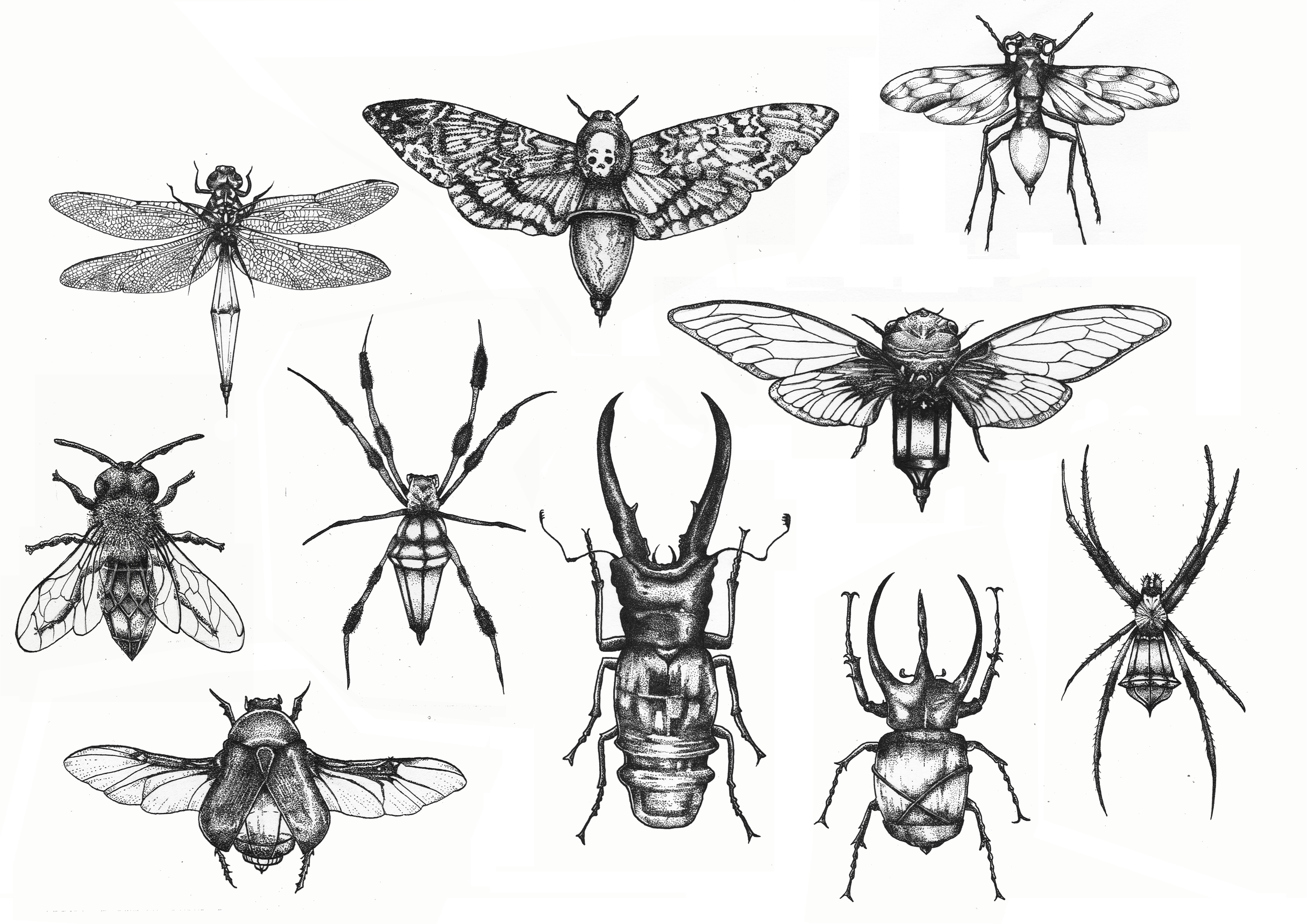 Like a Moth to a Flame (Copy)