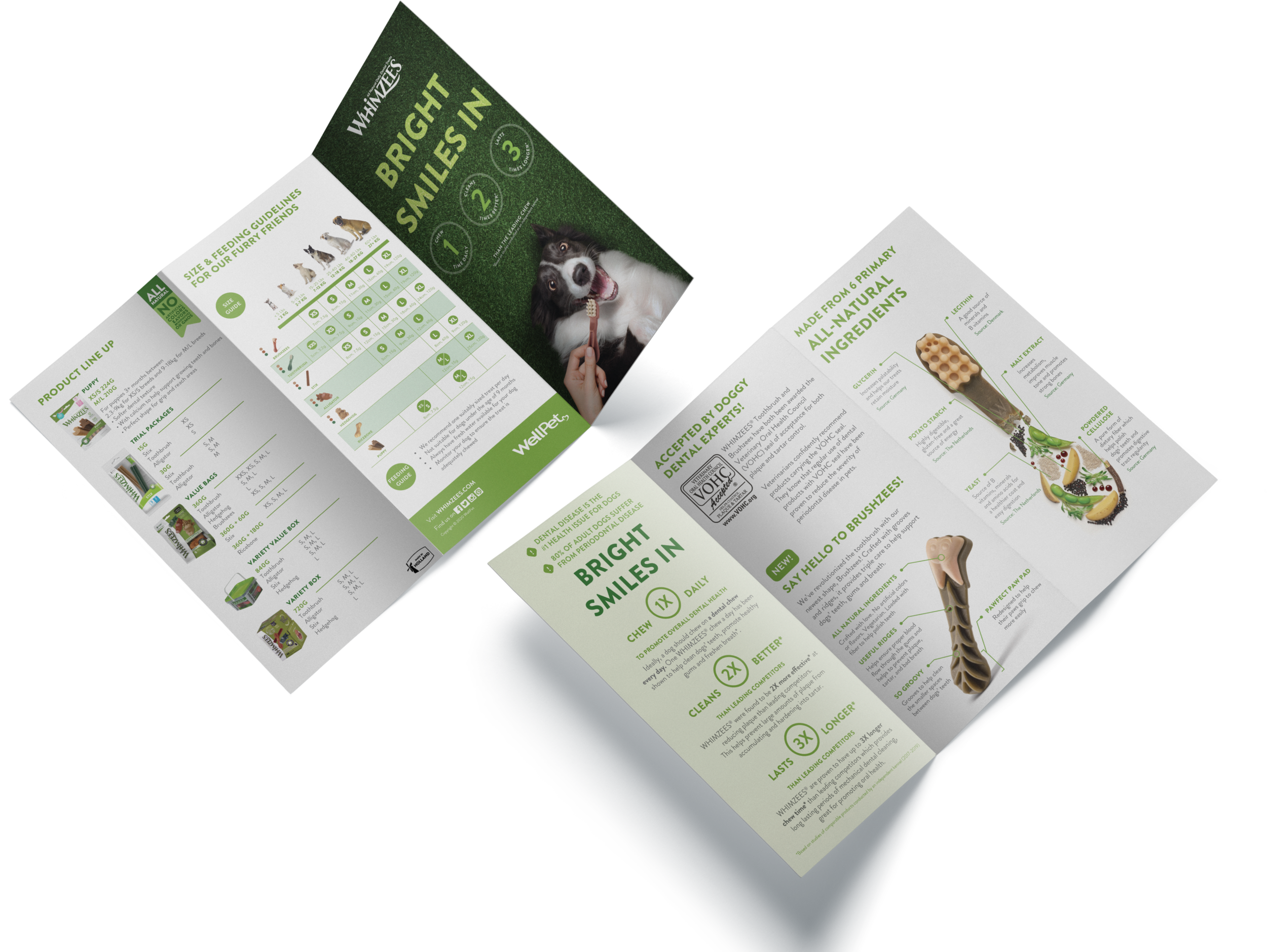 WHZ-Brochure_Mockup_v1.png