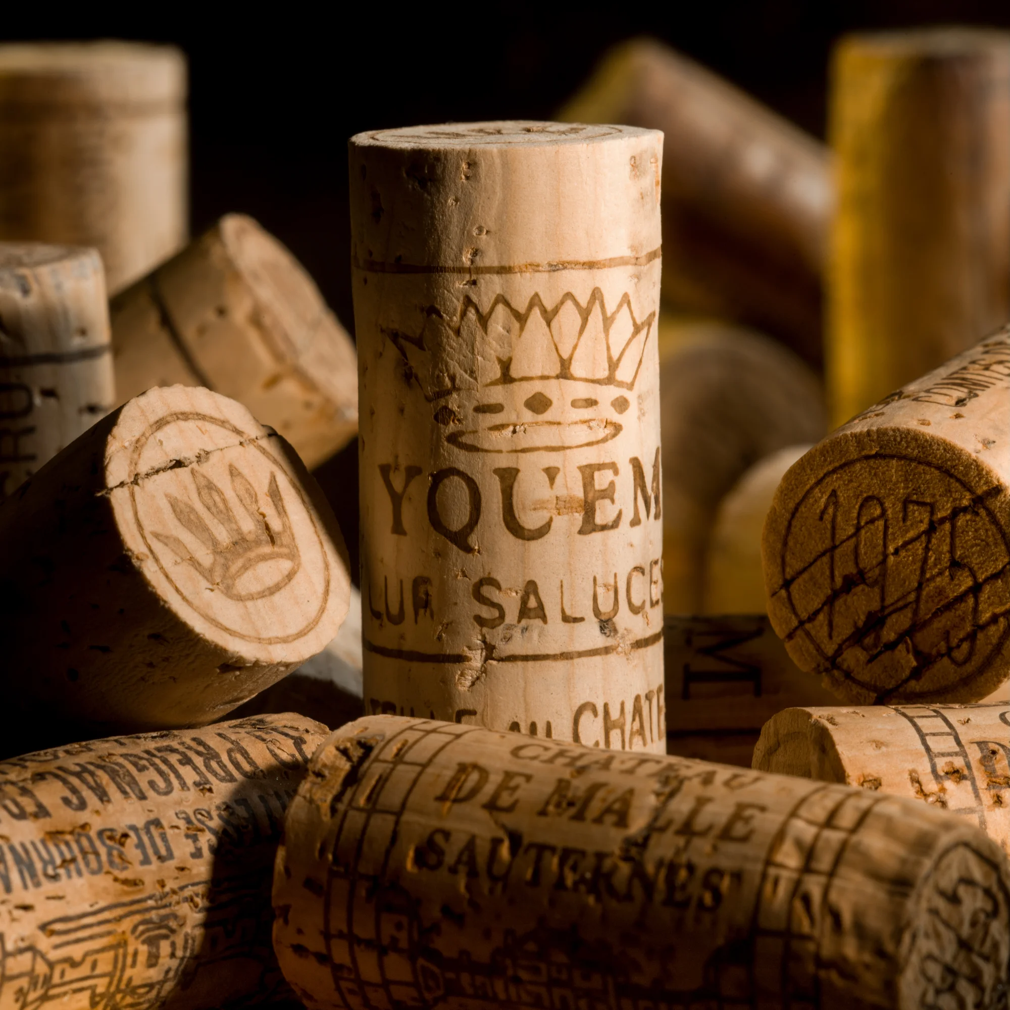 Yquem 021.jpg