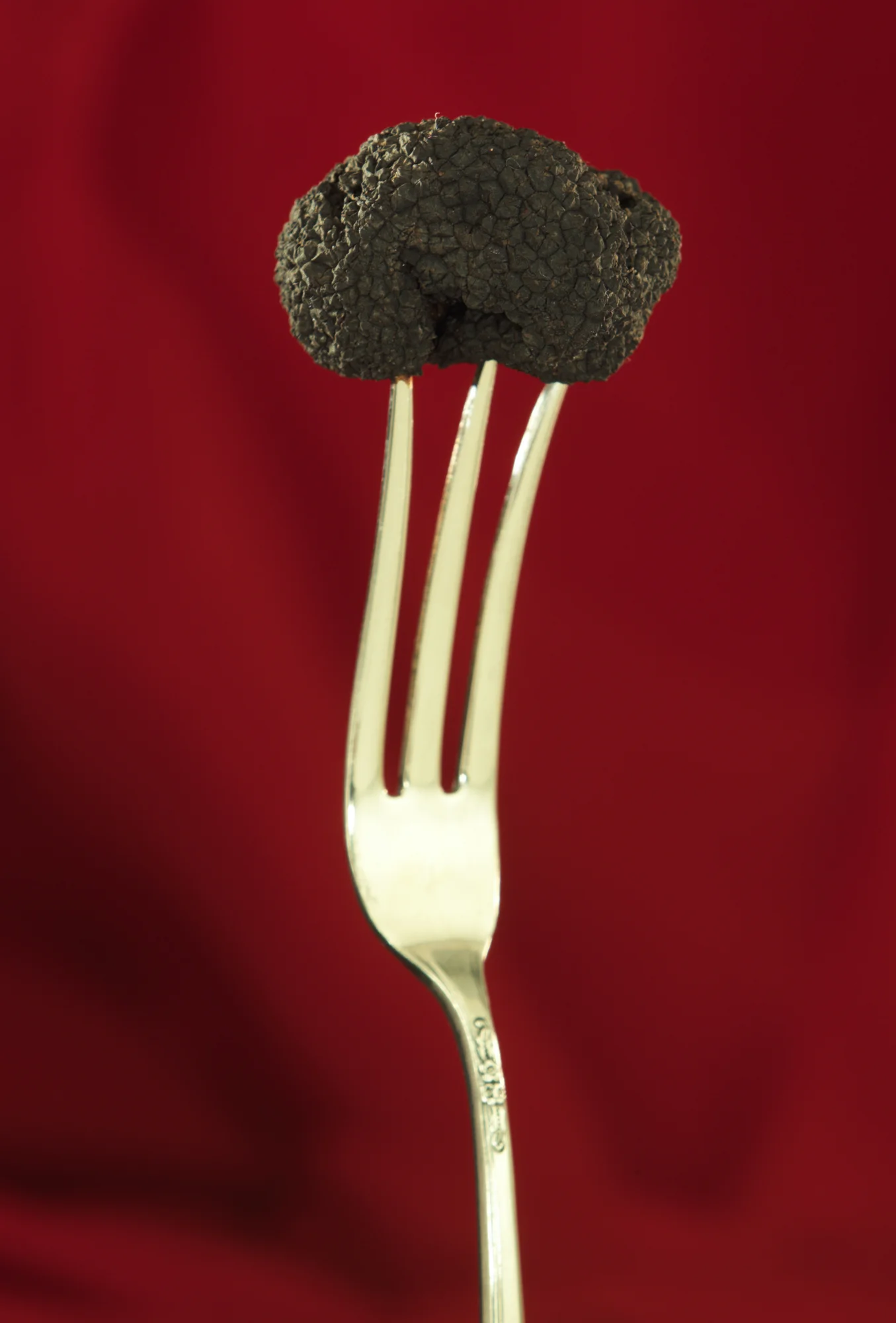 truffle 040.jpg