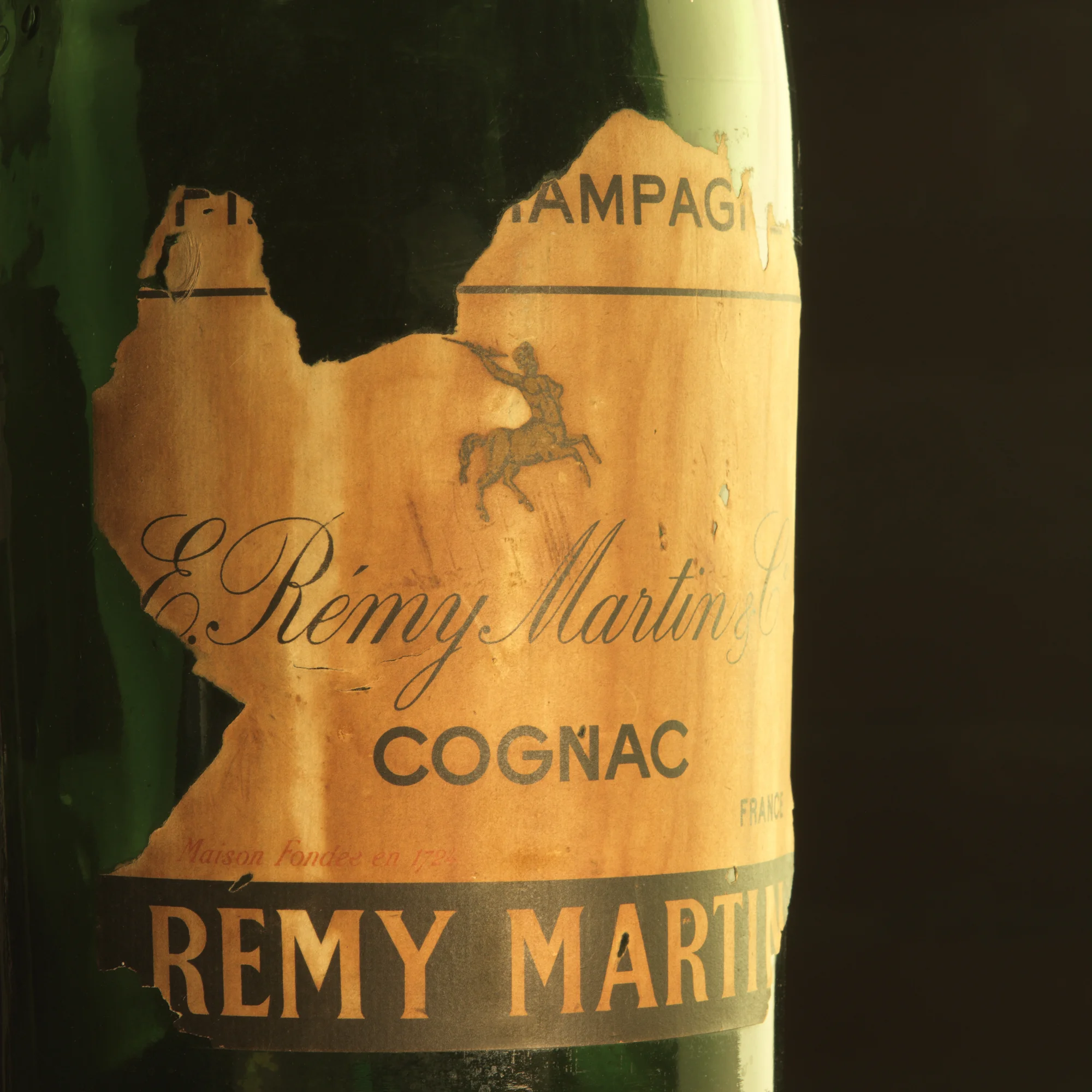 remy 008.jpg