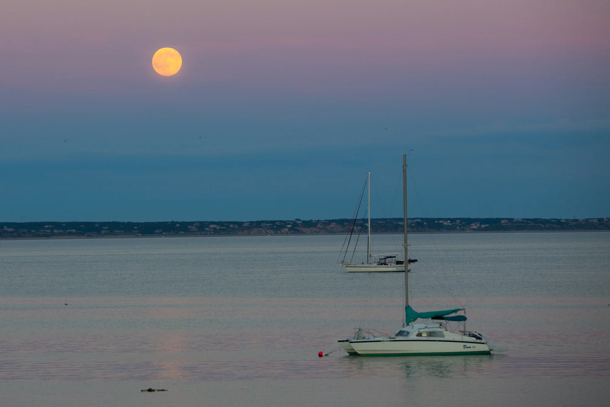 20160721_Ptown_093.jpg