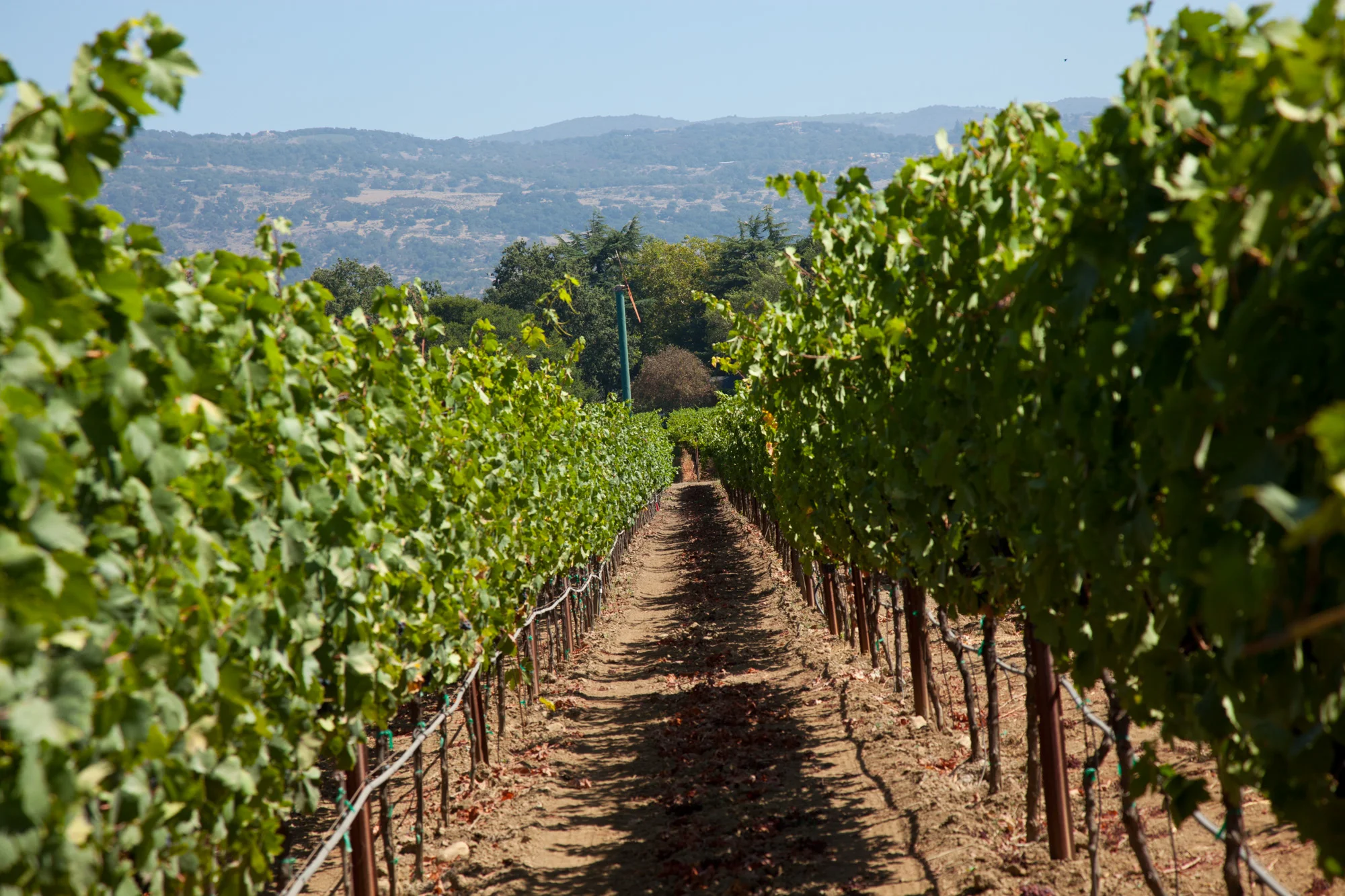 20110830_Napa_189.jpg