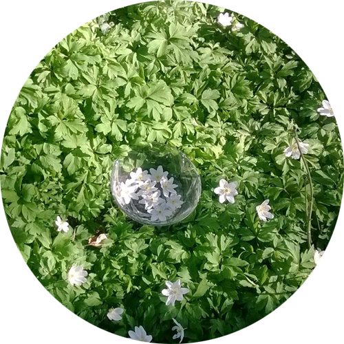 Shop — Rhythm of Beauty