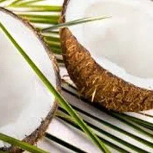coconut.jpg