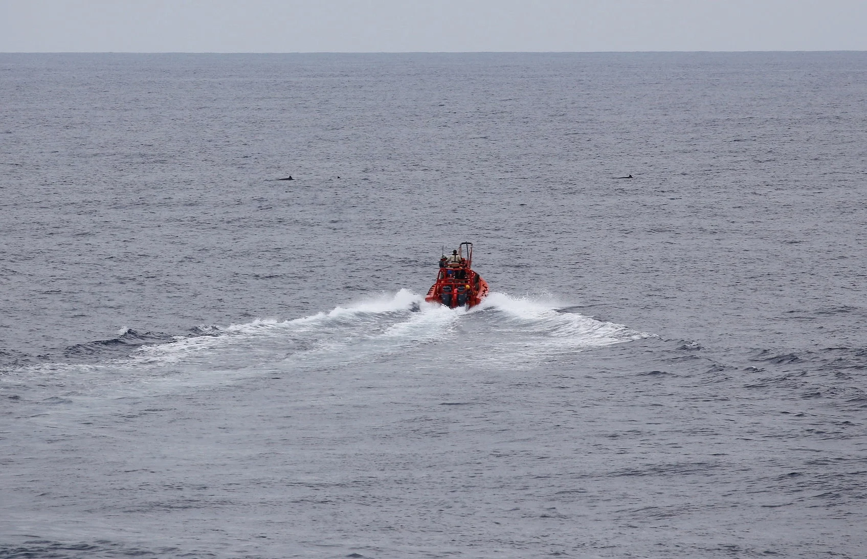 Small boat heading out to place a DTAG and collect DNA samples from a group of True's beakers (in background).&nbsp; Photo by Emily T. Griffiths for NMFS/NEFSC under permit #21371.