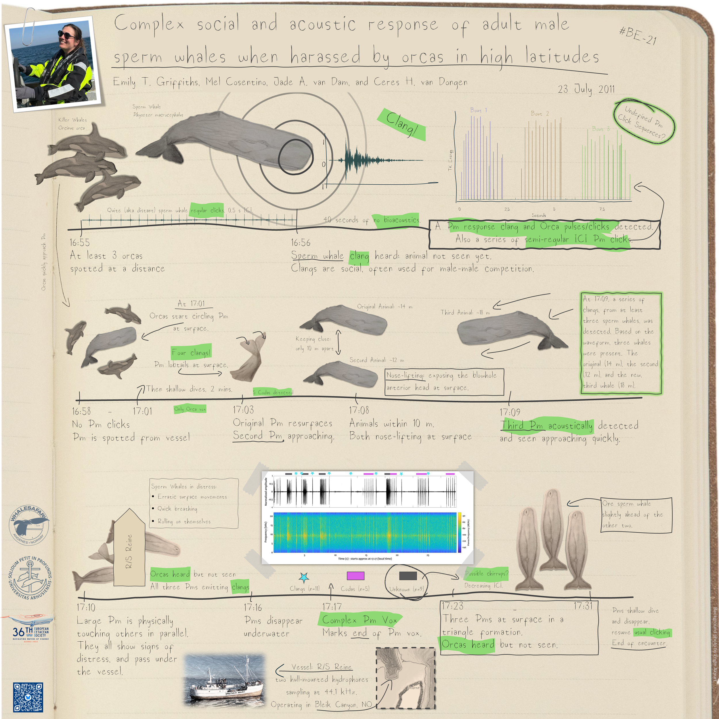 ECS Conference material 2025