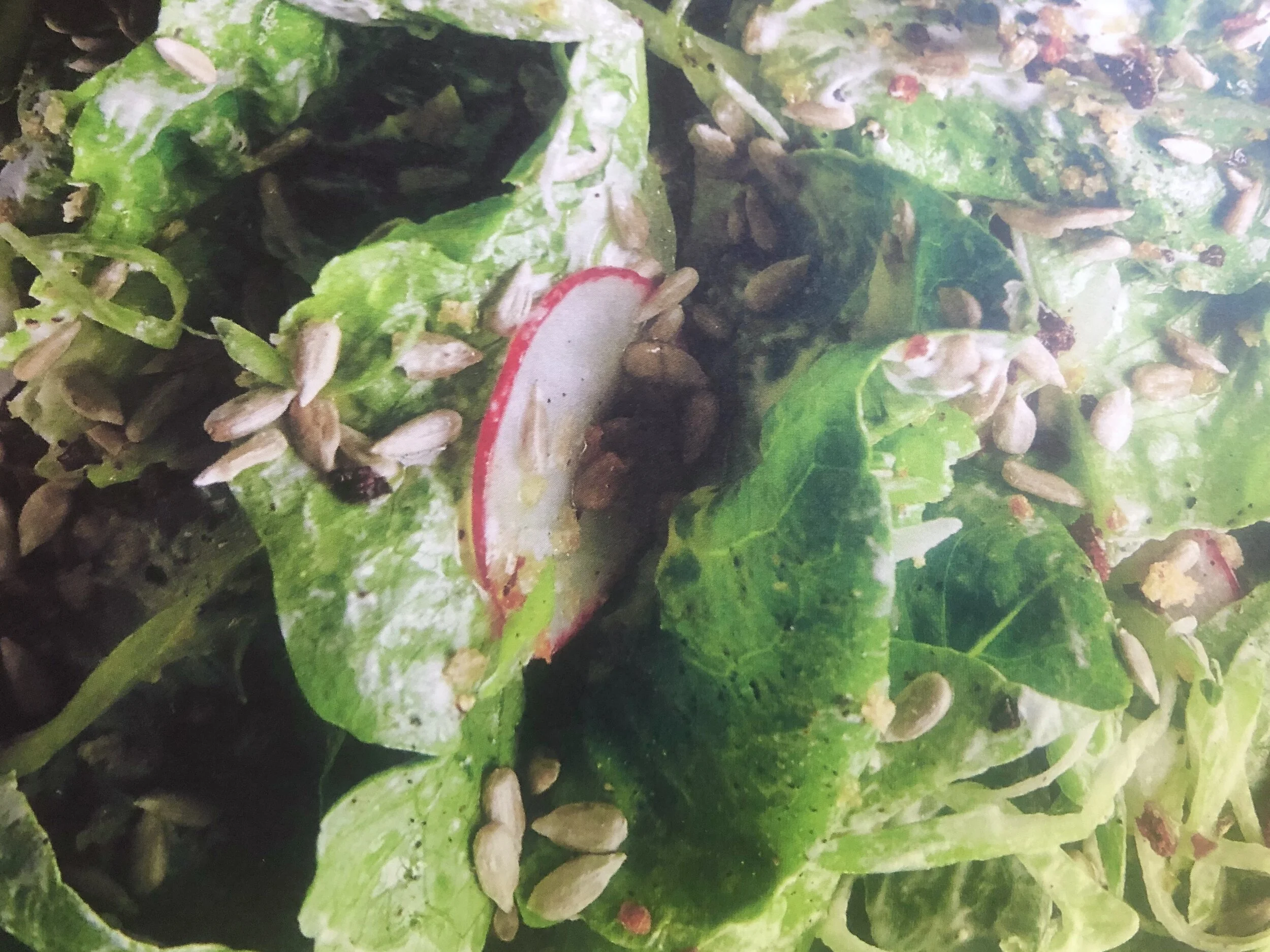 Little Gems with Lemon Cream, Spring Onion, Radish and Mint