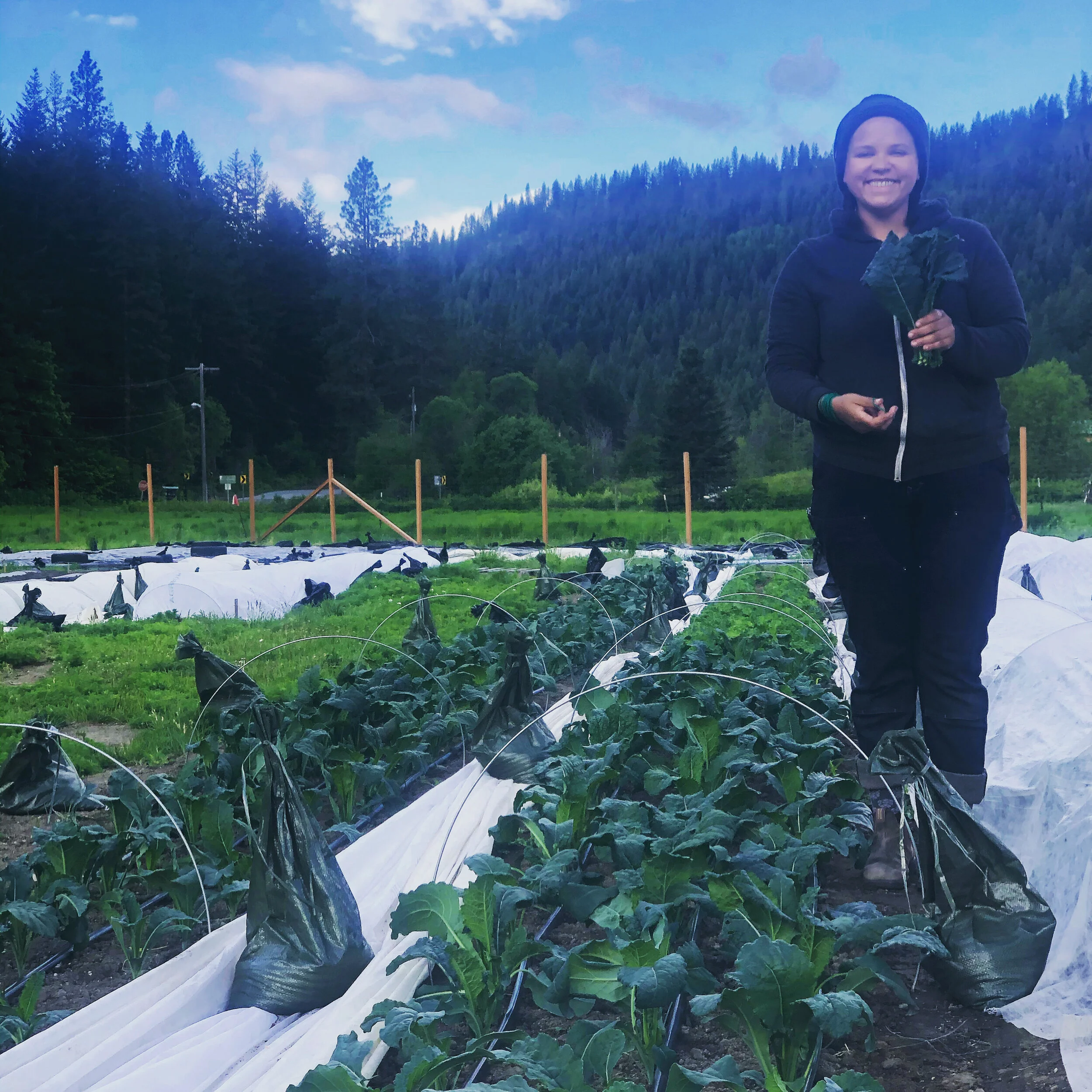 Kale and Mushroom Lasagne