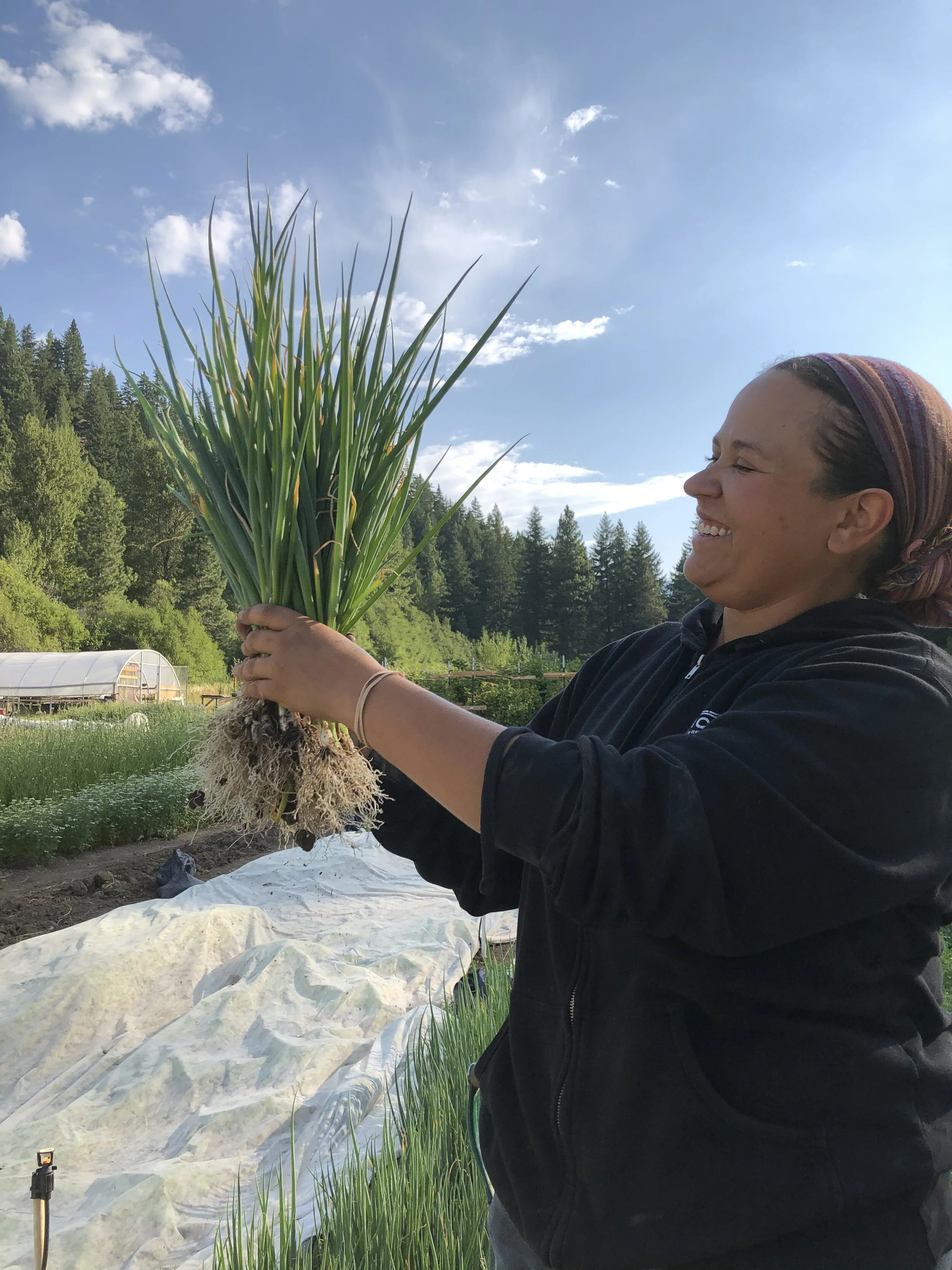 Summer Harvest Rice Bowls with Peach Lime Sauce