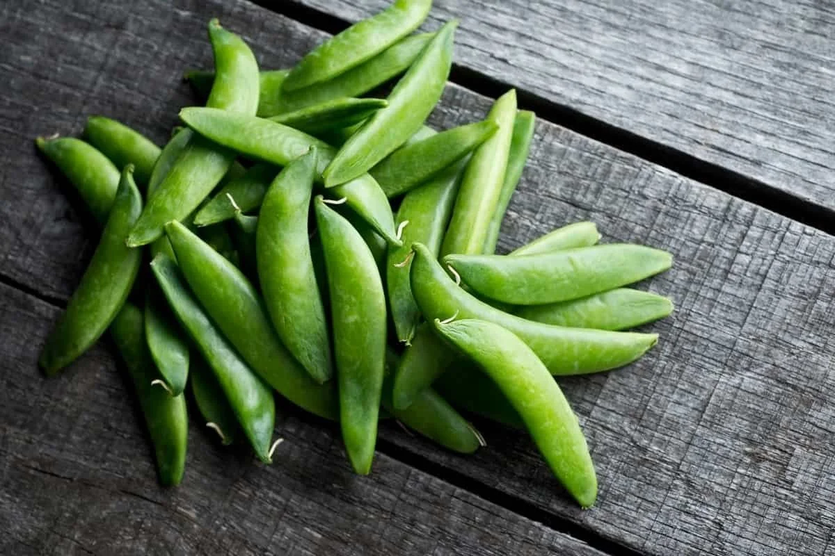 Pasta alla Gricia with Slivered Sugar Snap Peas
