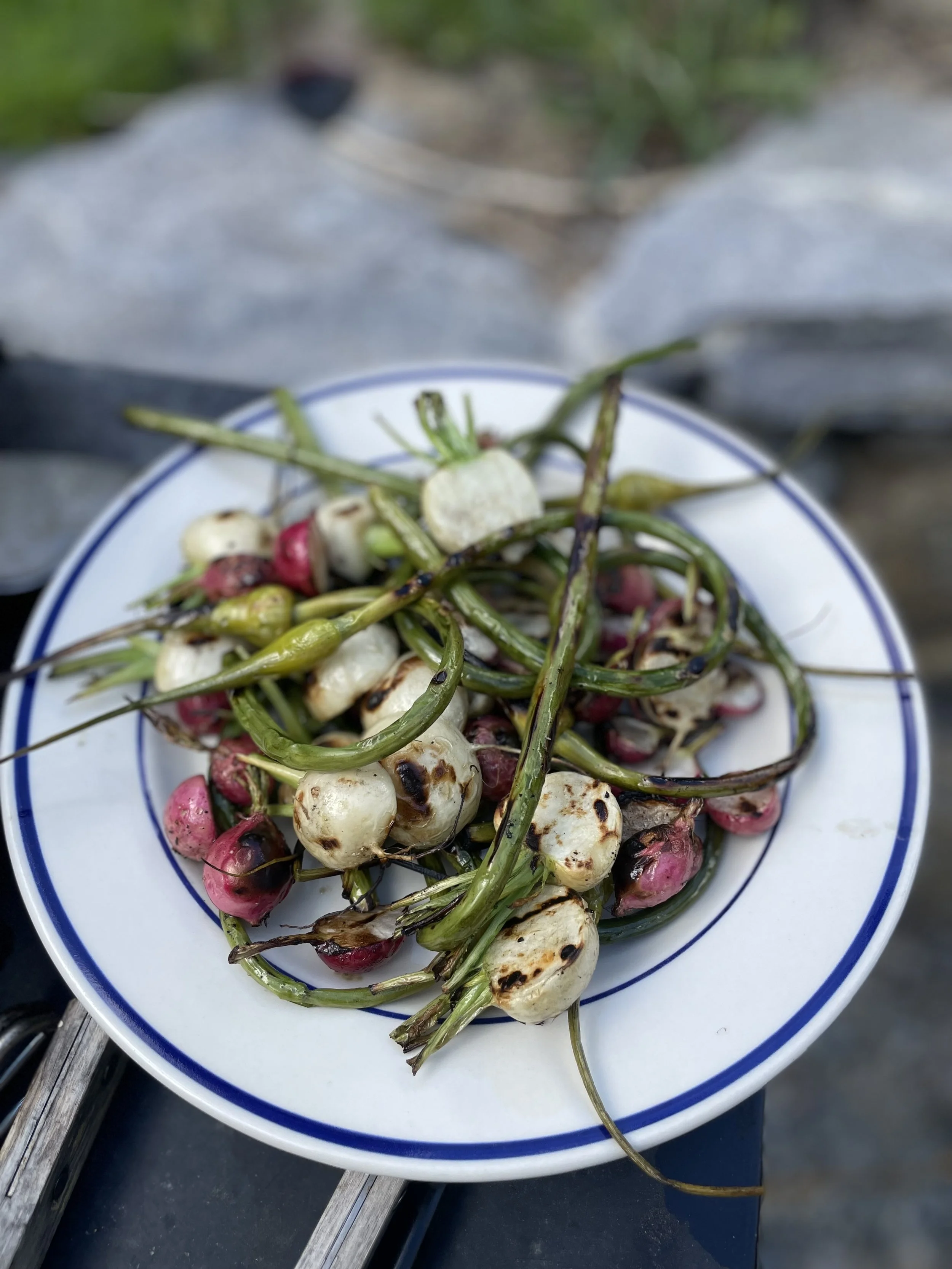 Miso Harissa Salmon and Grilled Vegetable Salad