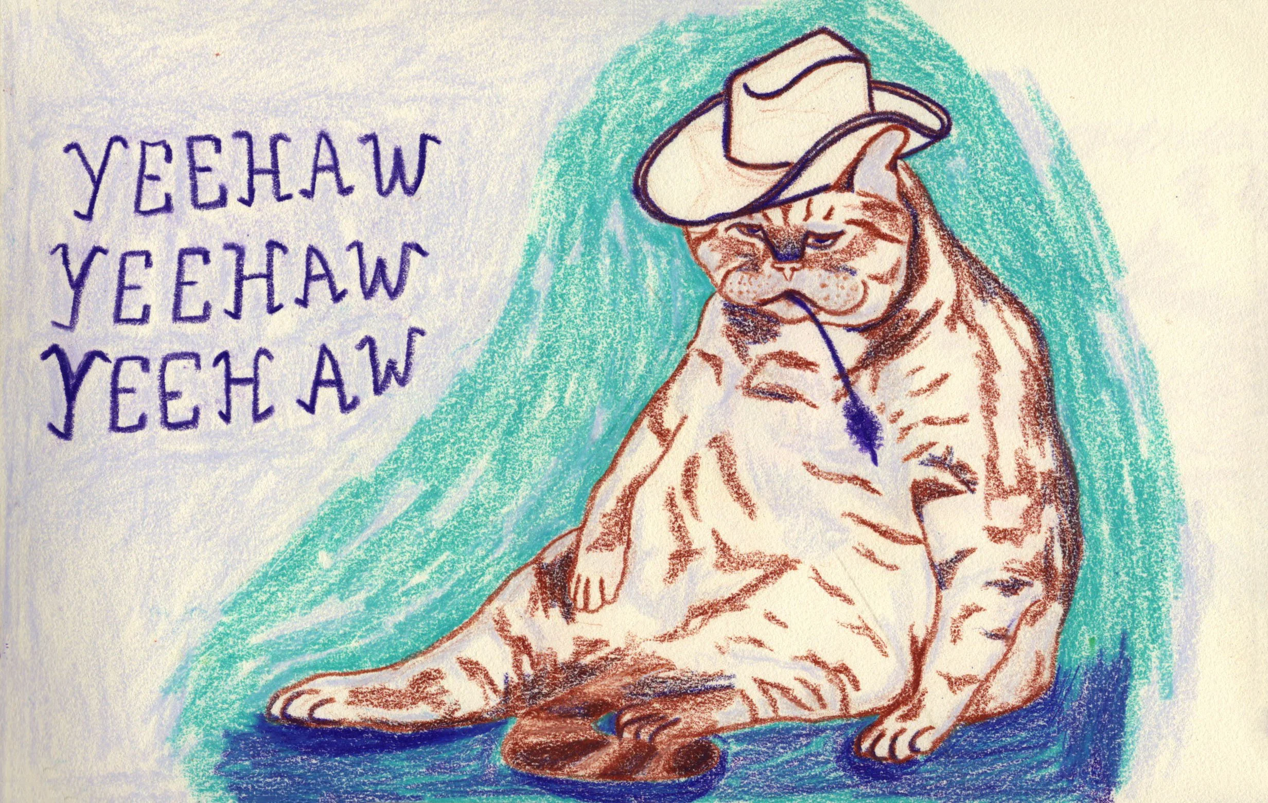 cowboycat.JPG