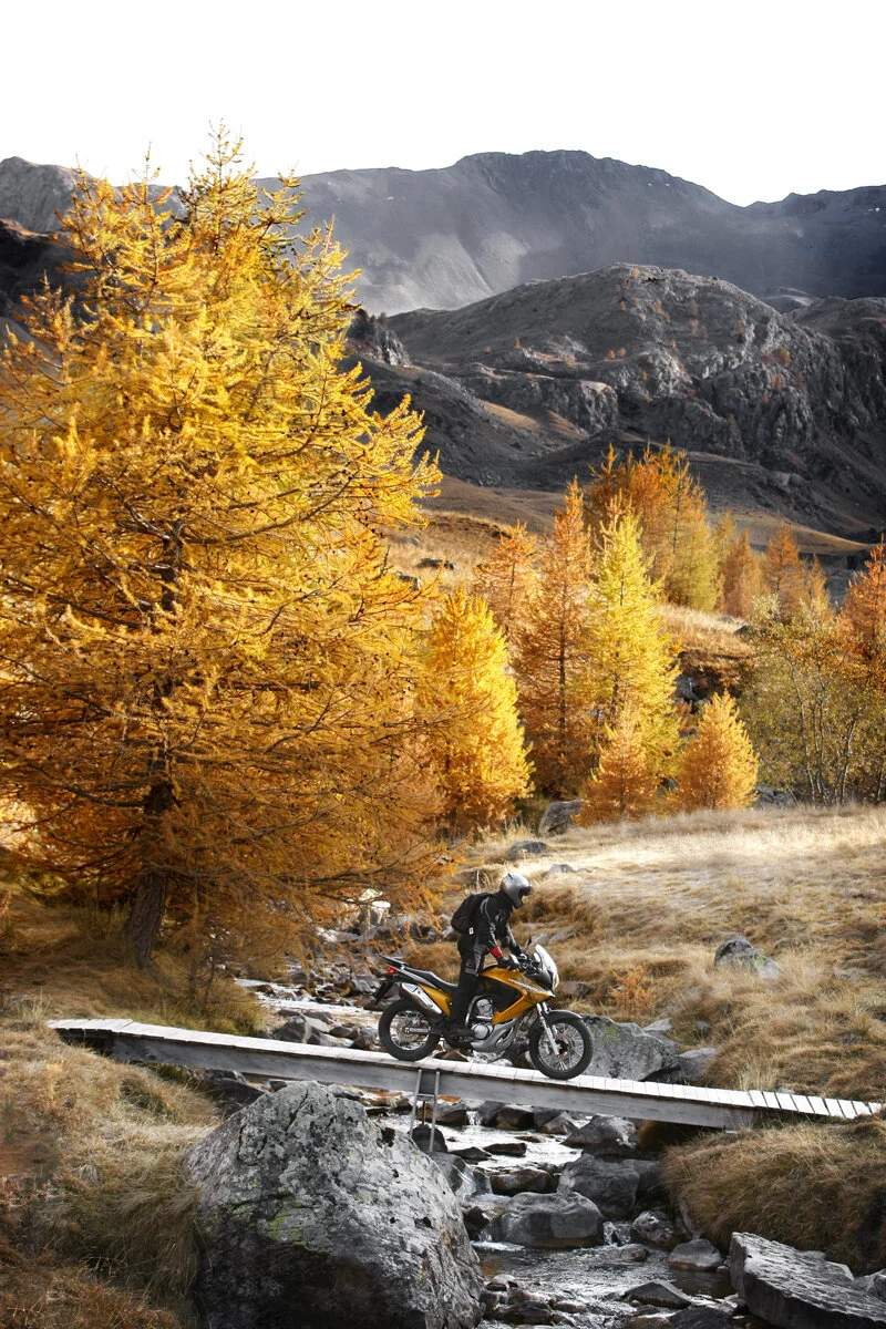 Honda_TransAlp_RED8014_2.jpg
