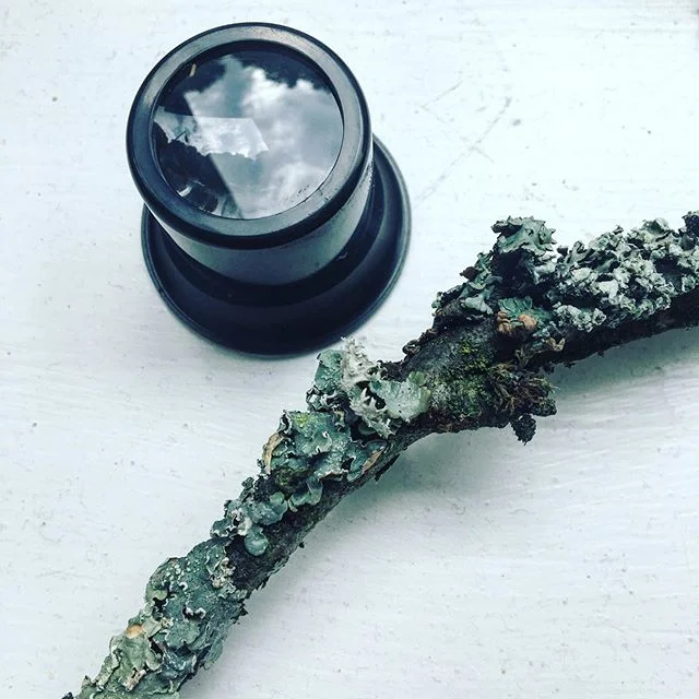 Marcus Coates joined Personal Ecologies today at The Drawing Room Summer School. Such a rich day drawing with loops and lenses to question and scrutinise our relationship with &lsquo;Nature&rsquo;. Explored how Drawing permits us to access the relati