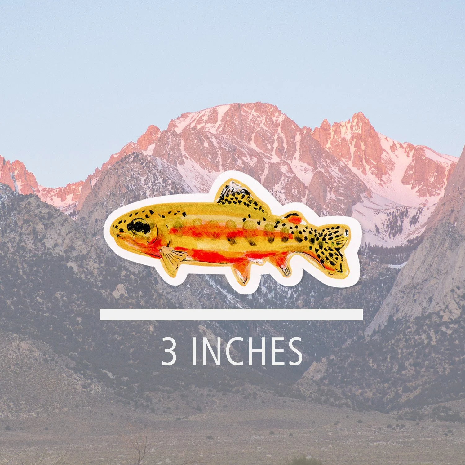 goldentrout_sticker measurement.jpg