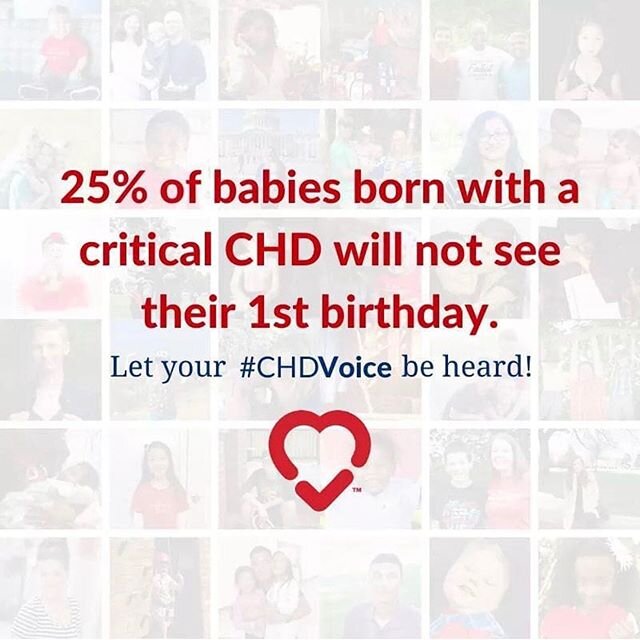 Remembering those sweet angels who lost their battle to CHD, and sending love to their grieving families.
.
.
.
#CHD #MLH #HeartMonth #CHDawareness #1in110 #CHDaware #HeartWarrior #HeartAngel #heartbaby #heartsurgery #heartdefect #heartwarriors #hear