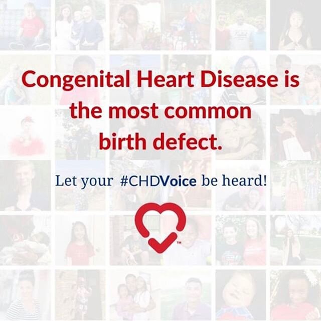 From @pcha_chd &mdash;&gt; CHD is the most common birth defect around the world. But did you know that most people are still surprised to learn this?  In 2020 alone, 1.35 million new CHD patients will join the community world wide. Share your #CHDVoi