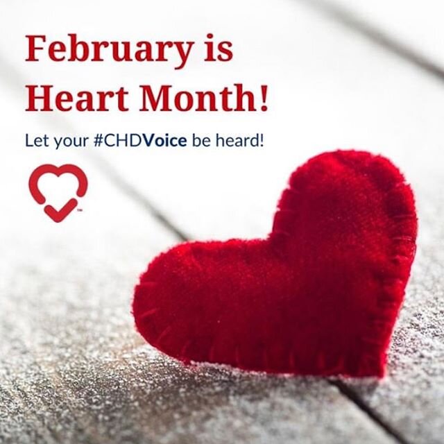 It&rsquo;s Heart Month!❤️ #CHD #MLH #HeartMonth #CHDawareness #1in110 #CHDaware #HeartWarrior #HeartAngel #heartbaby #heartsurgery #heartdefect #heartwarriors #heartangels #warriors #angels #heartbabies #CHDadvocacy #mendedlittlehearts #congenitalhea