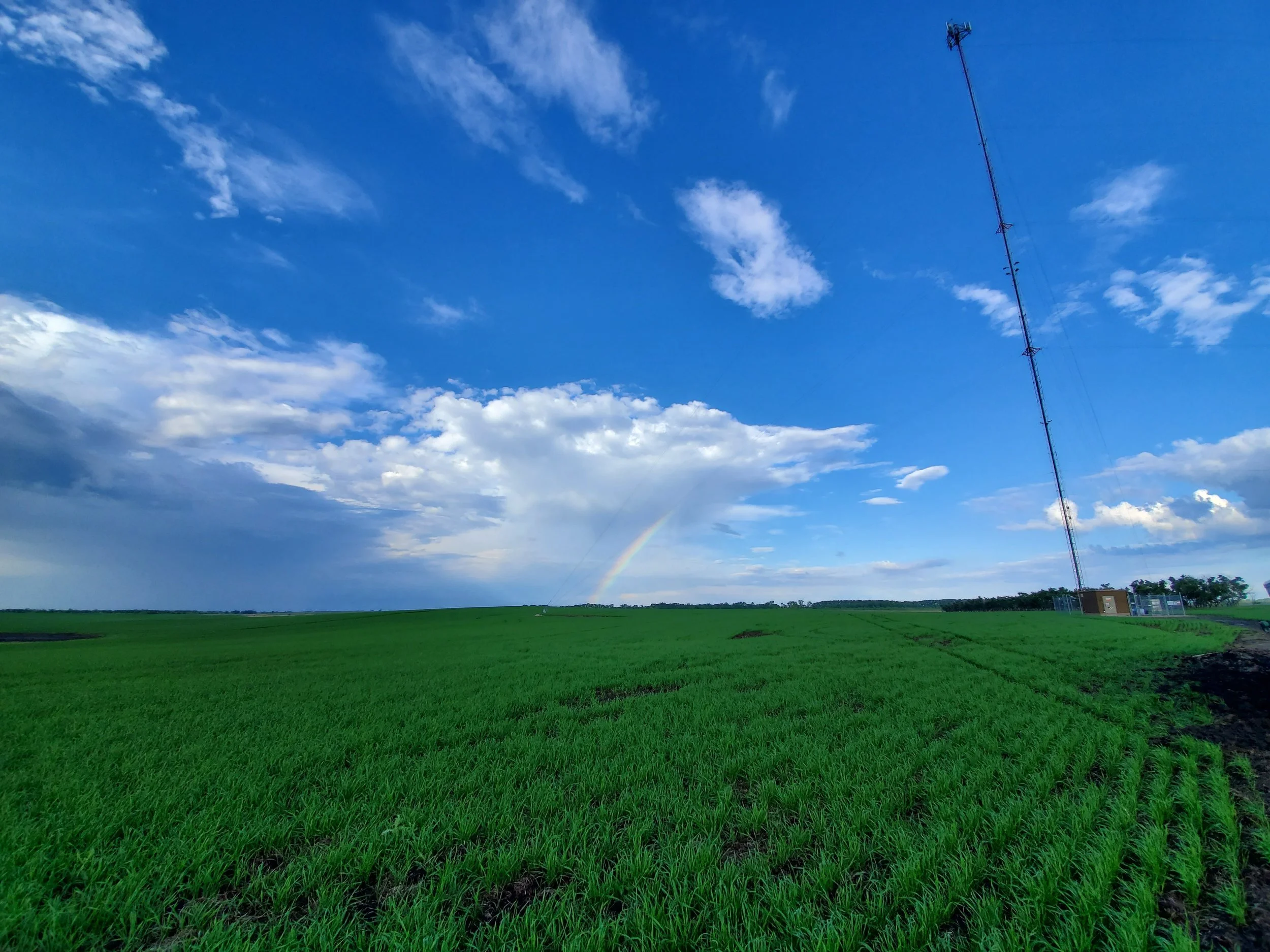 Myles Mckinney Rainbow_Self Support_Cando, ND 380ft.jpg