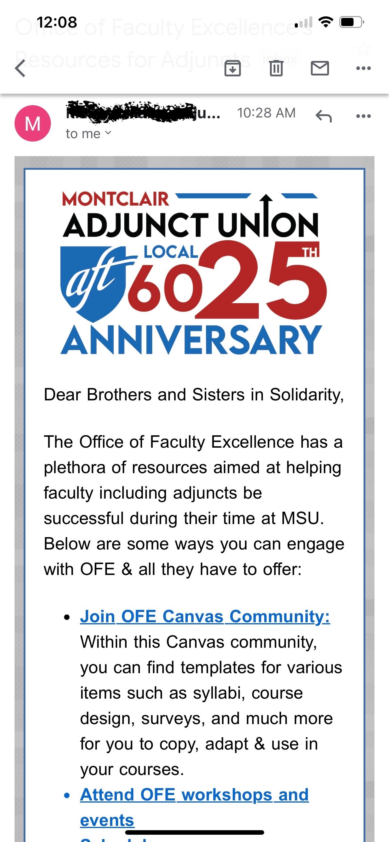 Email Banner. The logo was made for a email banner and signature for the Union. This one is special because it is for the 25th anniversary of the Union.