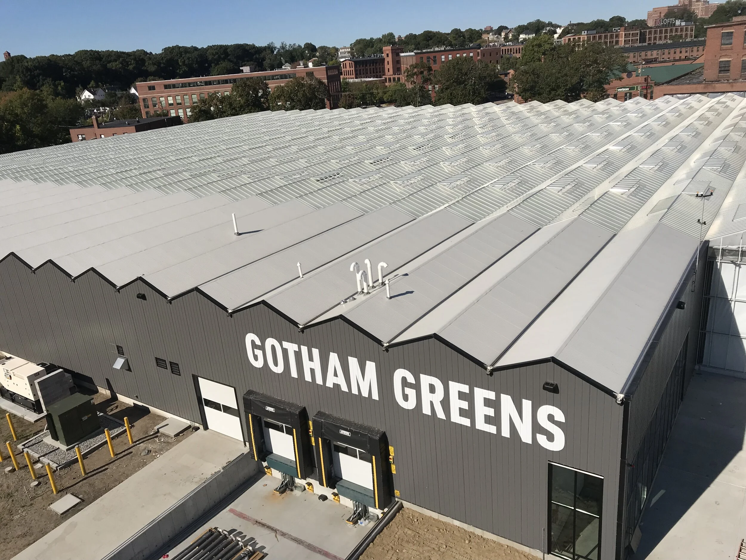 GothamGreens.JPG